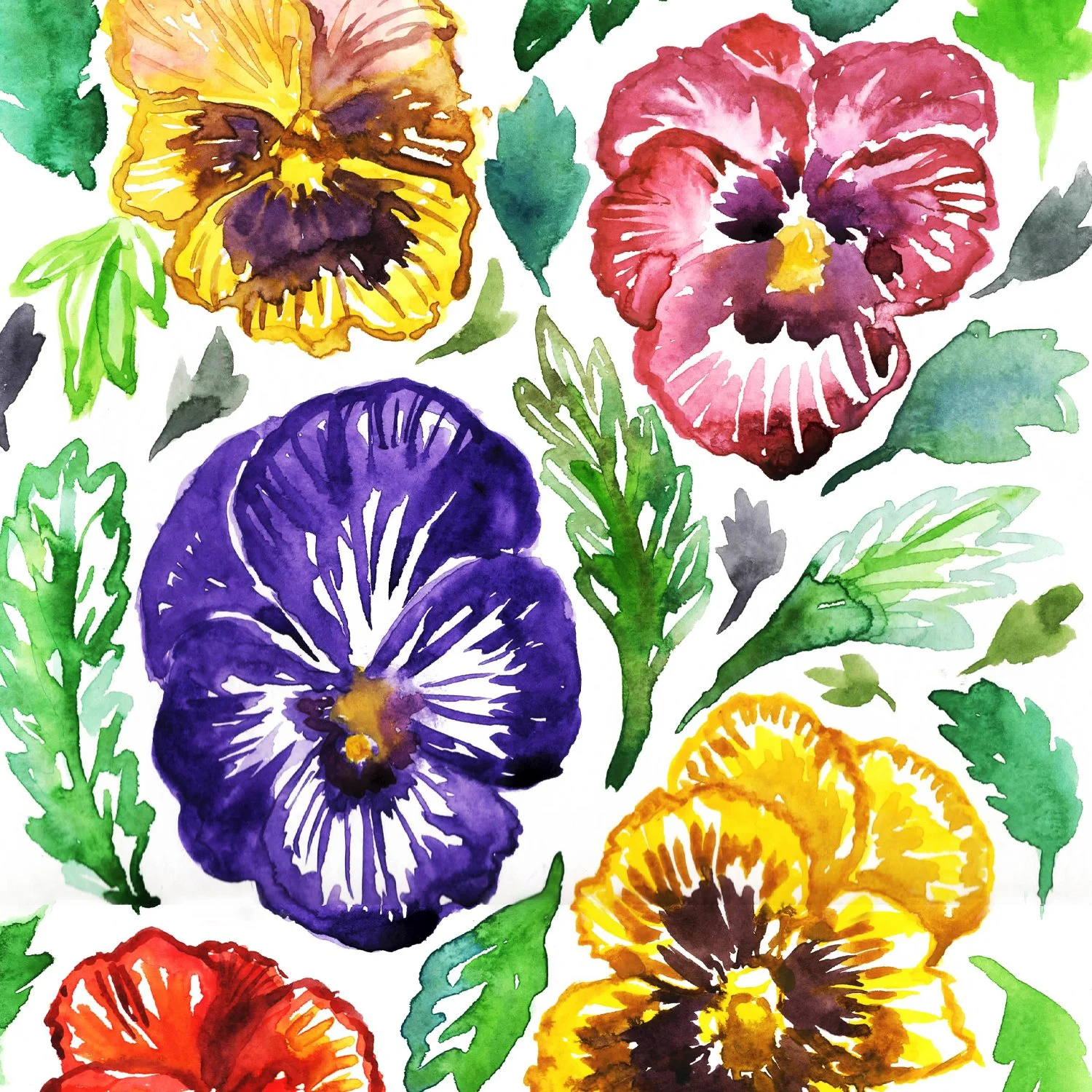 pansies
