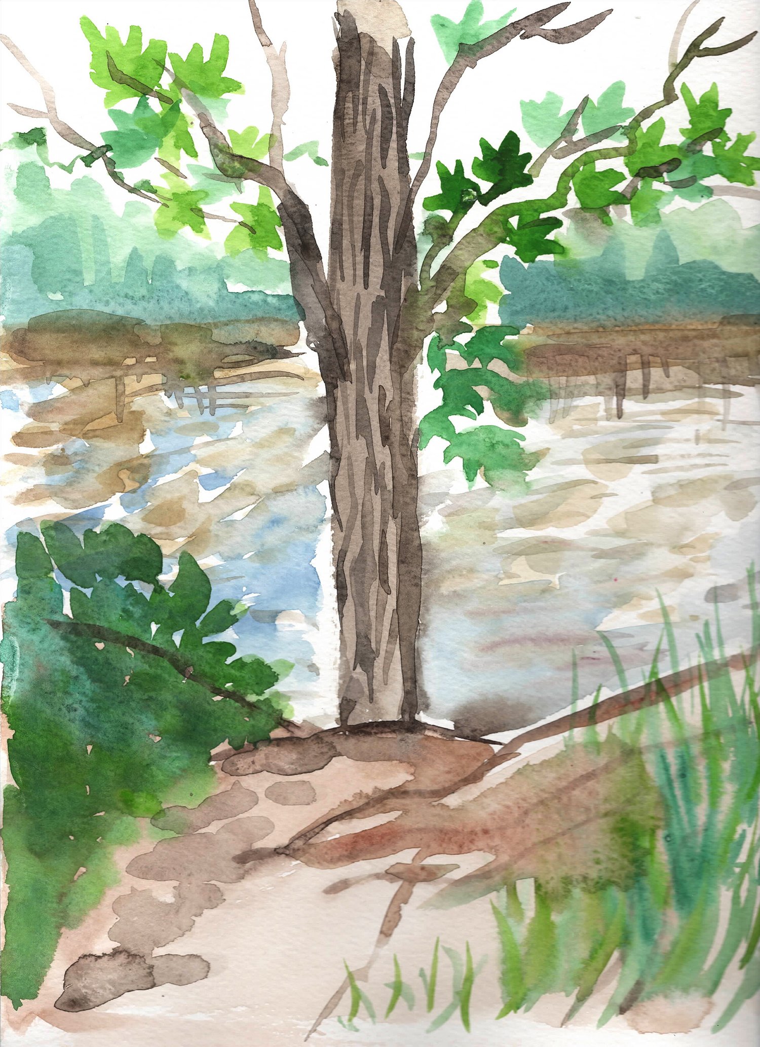 Wolf Pond Park