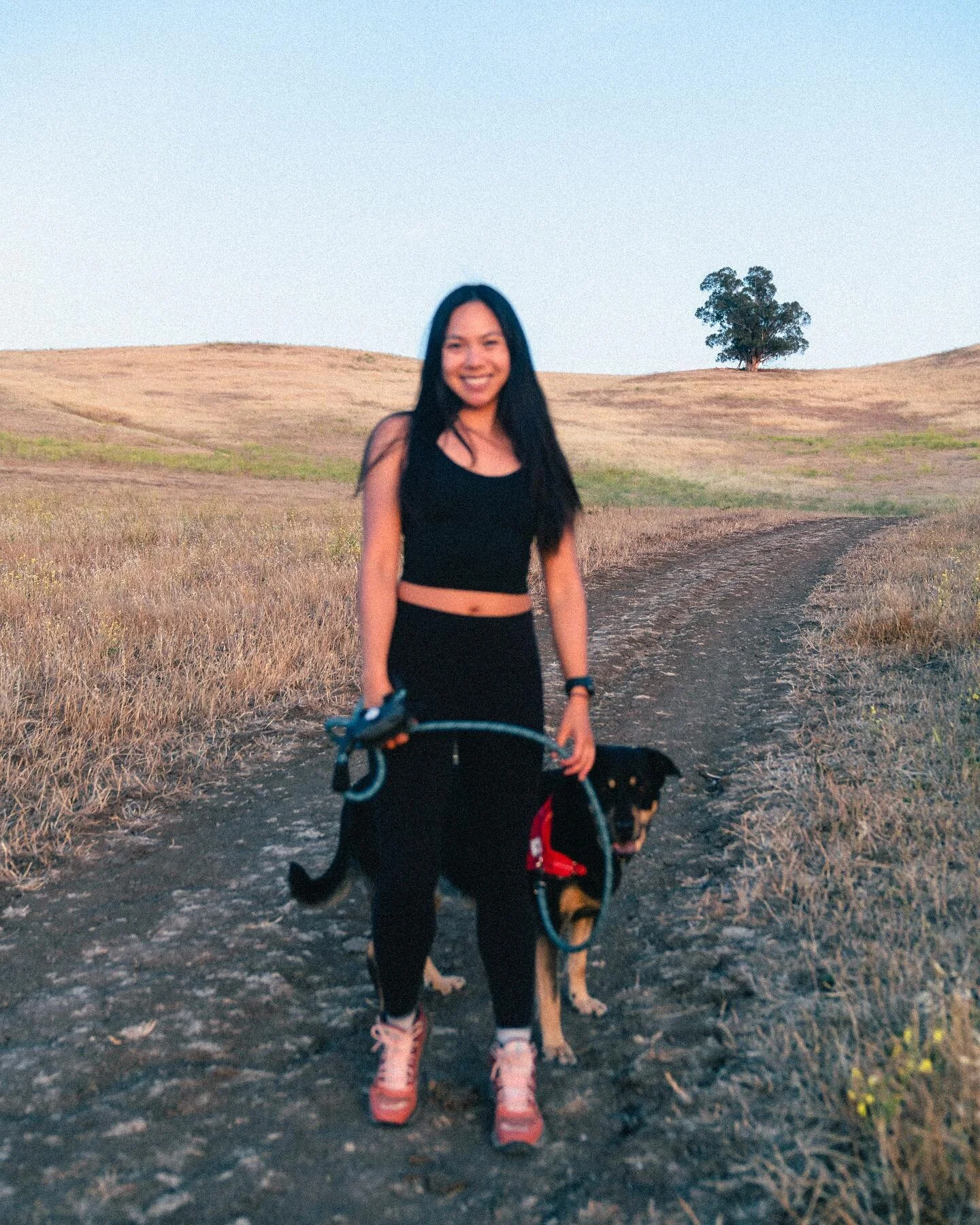 Pretty much had the place to ourselves on Tuesday evening. Just 5 minutes from the freeway, Brushy Peak is one of favorites because it has wide trails so Lulu and her furry friends have space to roam on the trail (on leash). 

Anyone know what these 