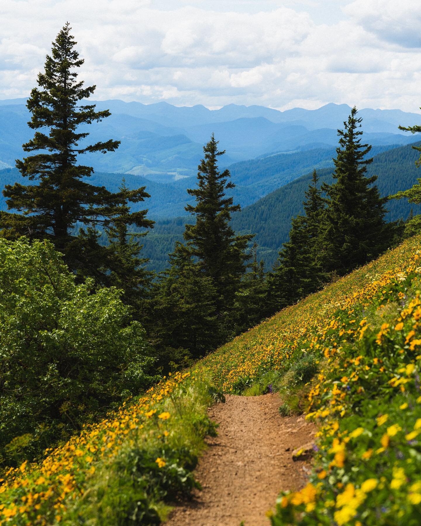 Oregon has a lot of pretty landscapes. If you experienced them and have photos to share, there are two more days to enter the @oregonwild photo contest! Categories in which you can enter your  photos include: 

Endangered Place
People
Social Media
Wi