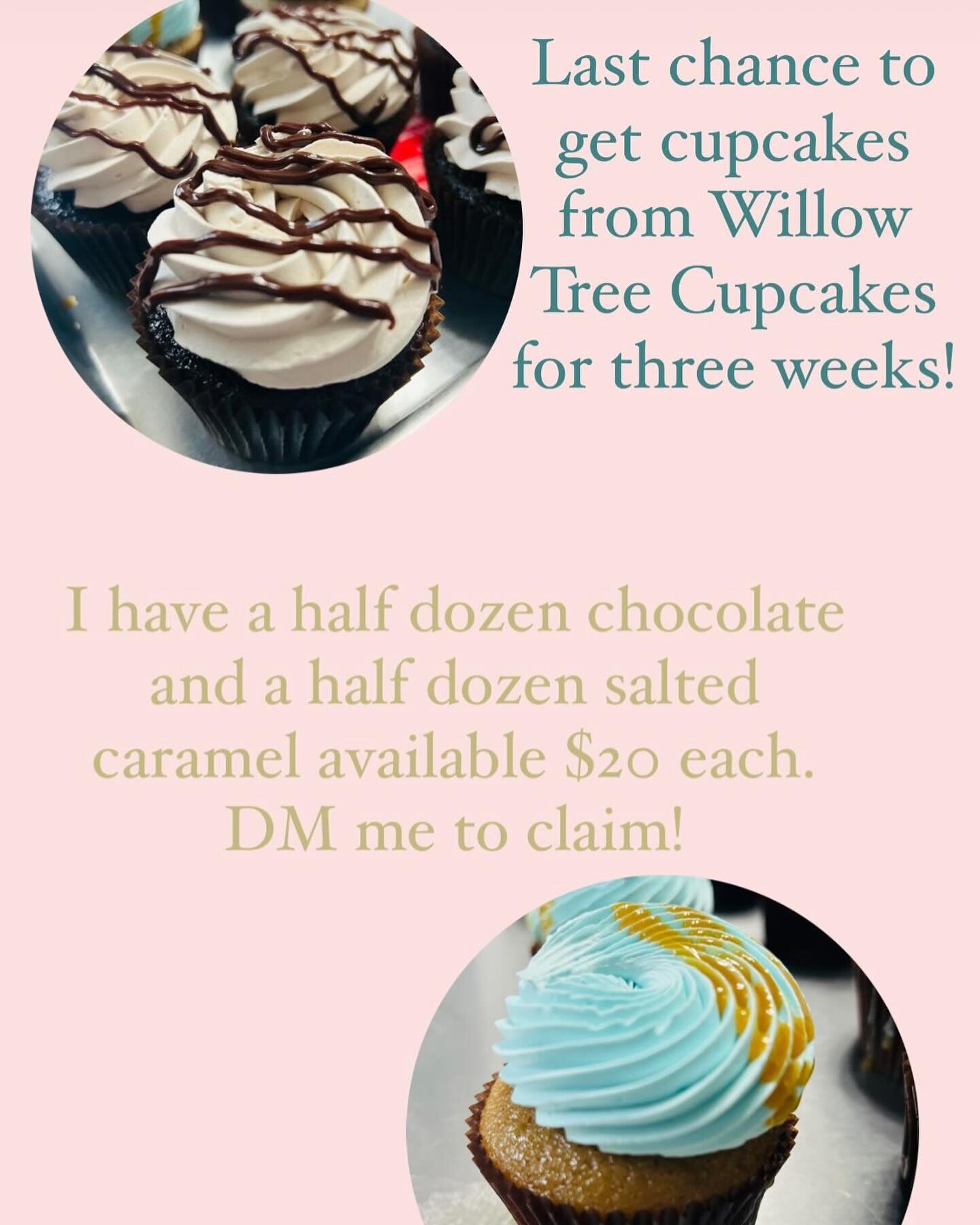 Who is craving Willow Tree Cupcakes?! Last chance to get cupcakes for THREE WEEKS!! 🚨Not a drill people! 🚨