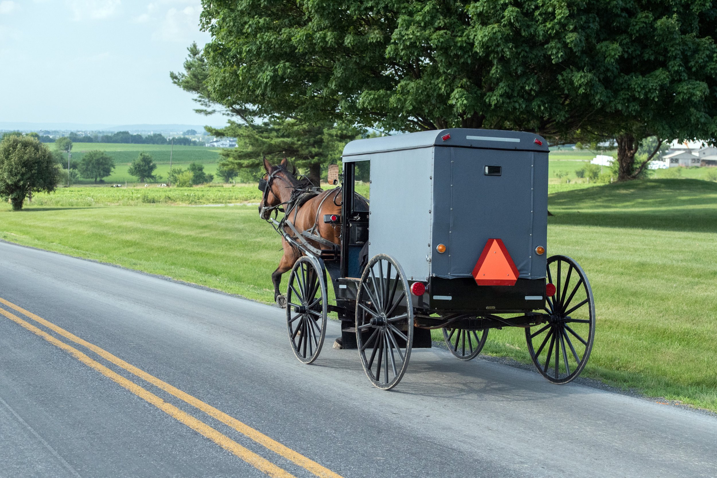 Horse and Buggy on road in Amish Country