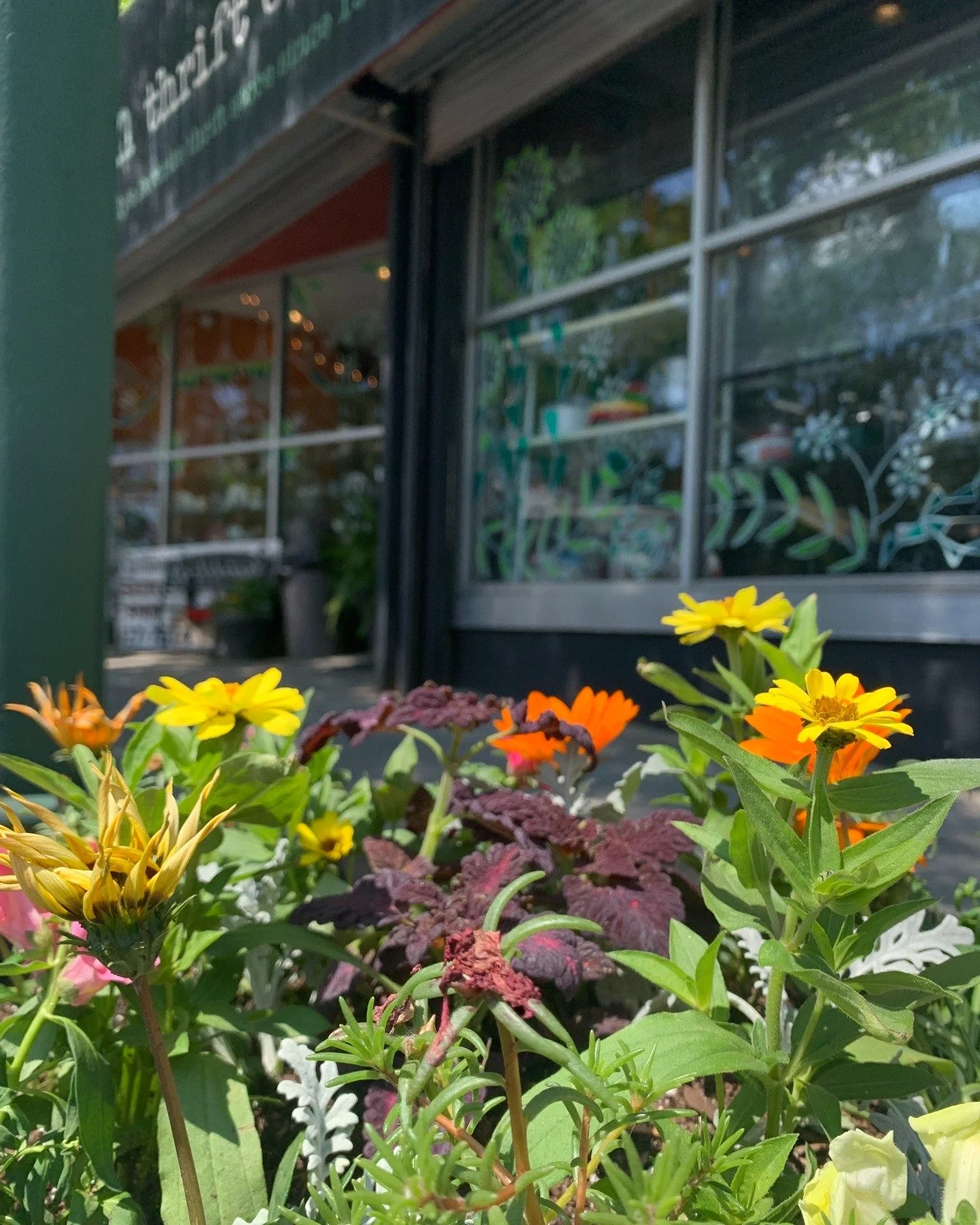 Spring is showing off around the store 🌸☀️

Blue skies, blooming flowers, and that fresh-air feeling that makes you want to slow down and stay a while. It&rsquo;s the perfect time to stop by, soak it all in, and see what treasures are waiting inside