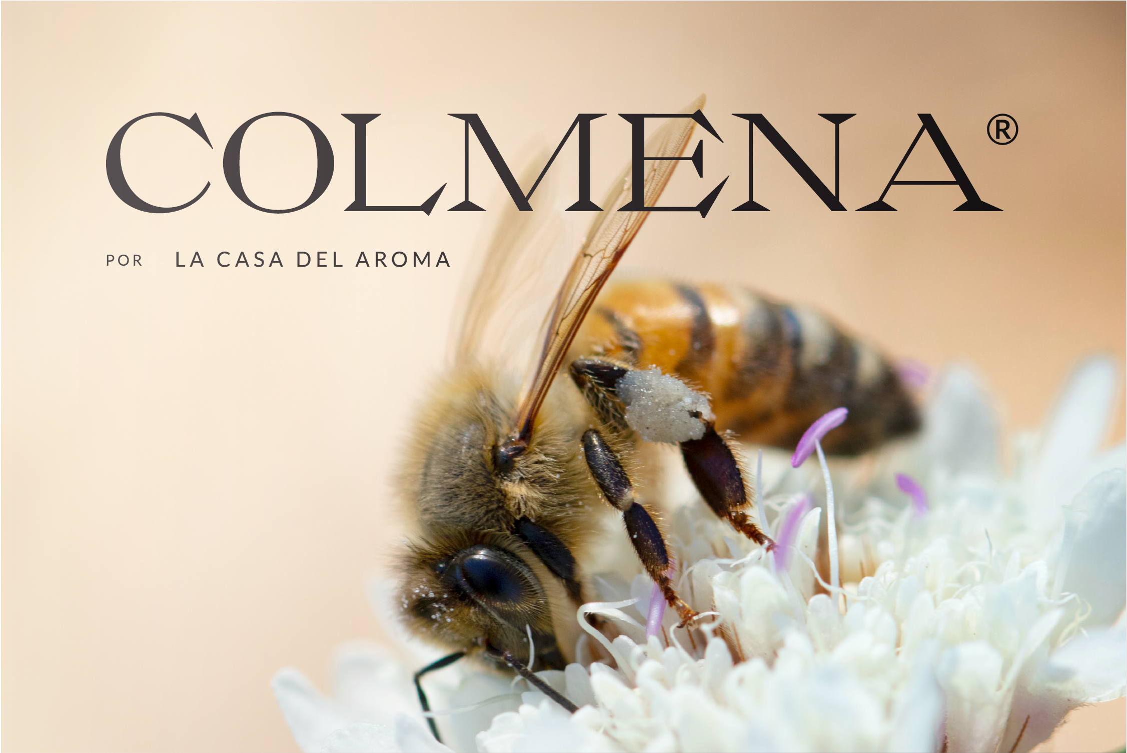 Colmena
