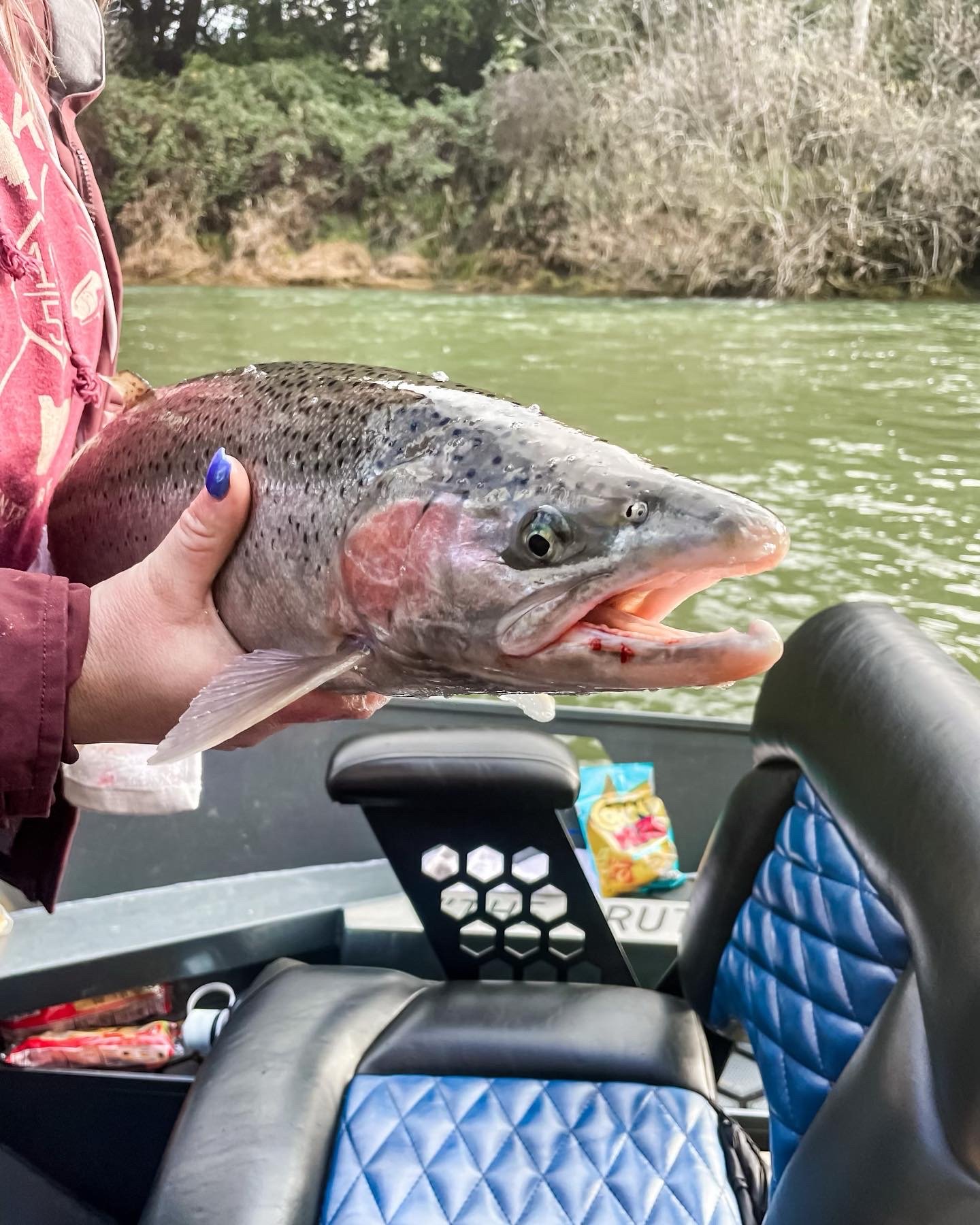 Oregon Fishing Guide, Oregon Charter, Winchester Bay Charter, Coos Bay Charter, Fishing Guide, Big Fish Guide, Best Guide, Salmon, Tuna, Halibut, Bottom Fish, Crabbing, Striper, Small Mouth Bass, Shad, Sturgeon, Roseburg Fishing Guide