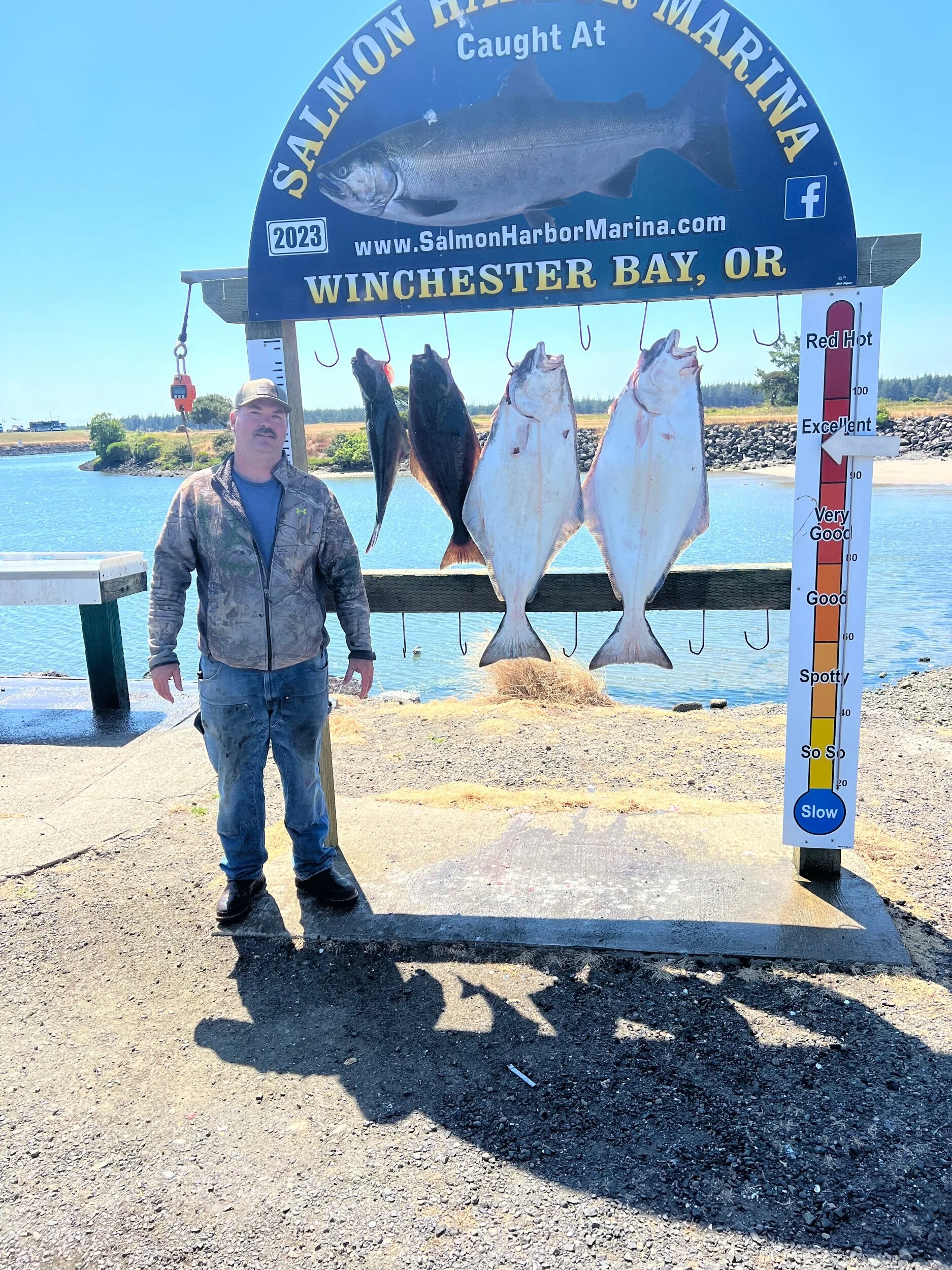 A man stands next to a display of four large fish hanging on hooks, with a sign indicating they were caught at Salmon Harbor Marina in Winchester Bay, Oregon. The sign features a mounted fish at the top, fish images below, and a vertical color-coded scale for catch quality, with the water and landscape in the background.