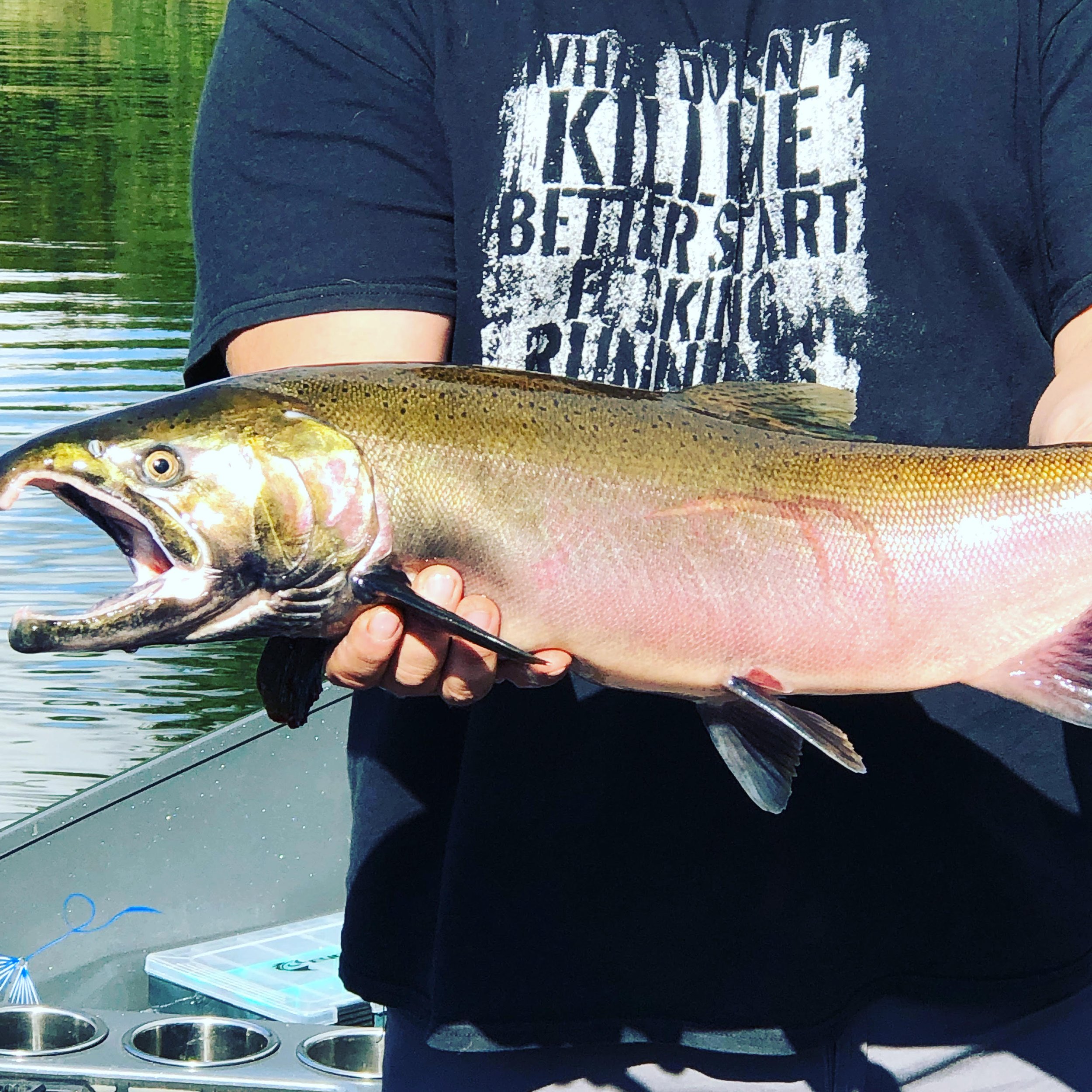 Best Fishing Guide, Salmon Guide, Steelhead Guide, Halibut Guide, Bottom Fish Guide, Rock Fish Guide, Crabbing Guide, Salmon Charter, Steelhead Charter, Halibut Charter, Bottom fish Charter, Rock Fish Charter, Crabbing Charter. 