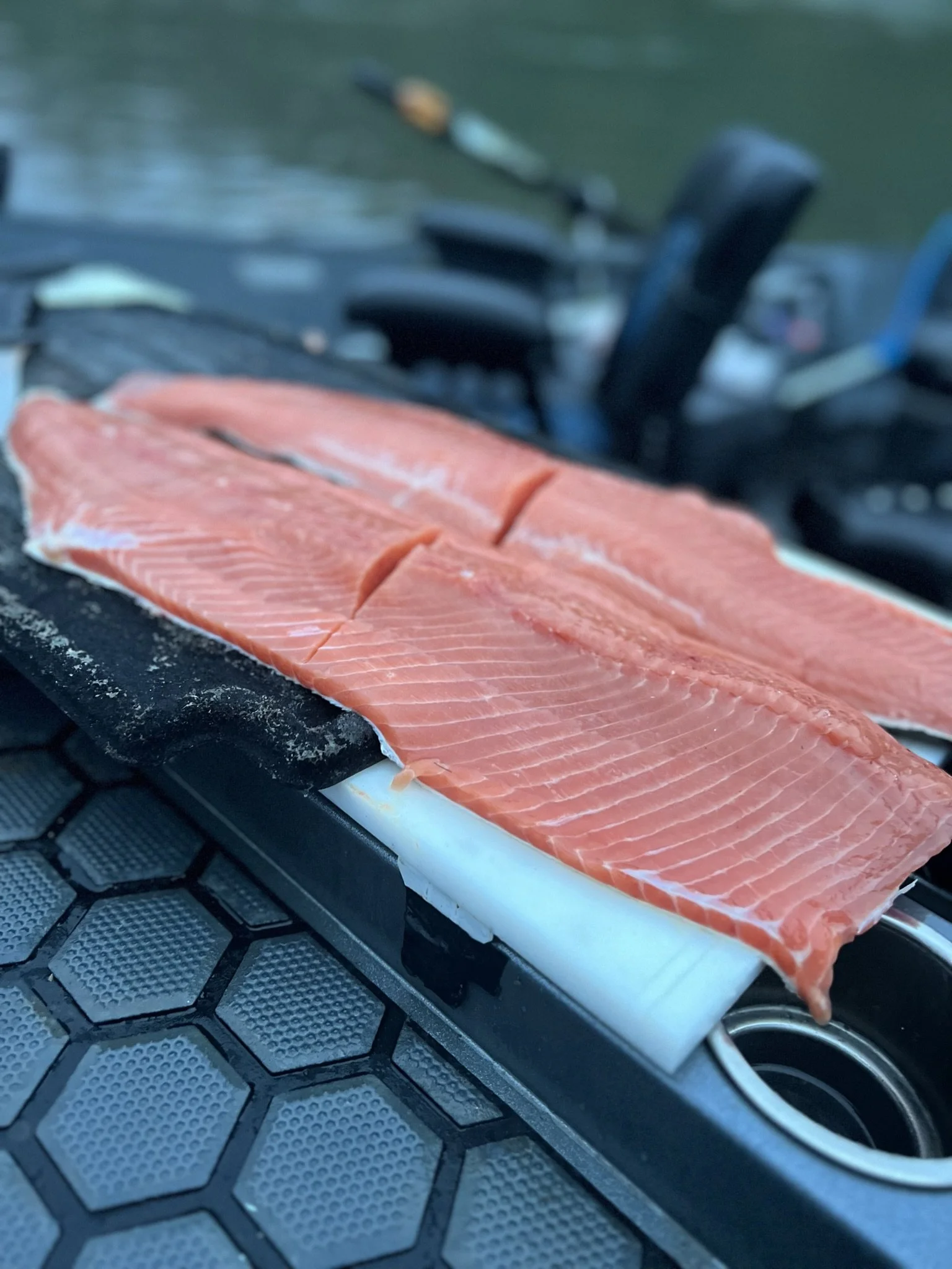 Best Fishing Guide, Salmon Guide, Steelhead Guide, Halibut Guide, Bottom Fish Guide, Rock Fish Guide, Crabbing Guide, Salmon Charter, Steelhead Charter, Halibut Charter, Bottom fish Charter, Rock Fish Charter, Crabbing Charter Tuna Guide Tuna Charter