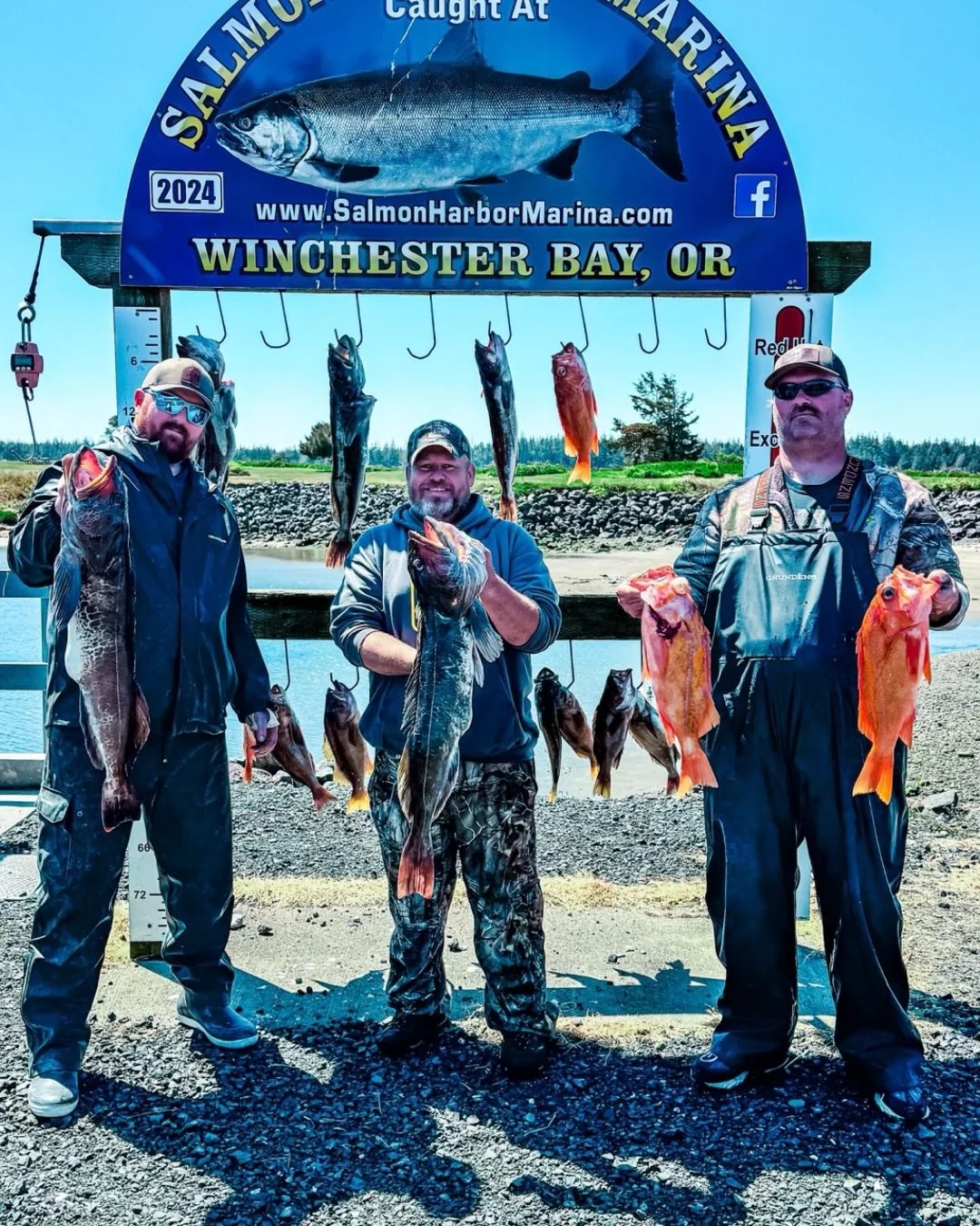 Three men holding fish in front of a sign for Salmon Harbor Marina, Winchester Bay, Oregon, with several fish hanging on hooks behind them.