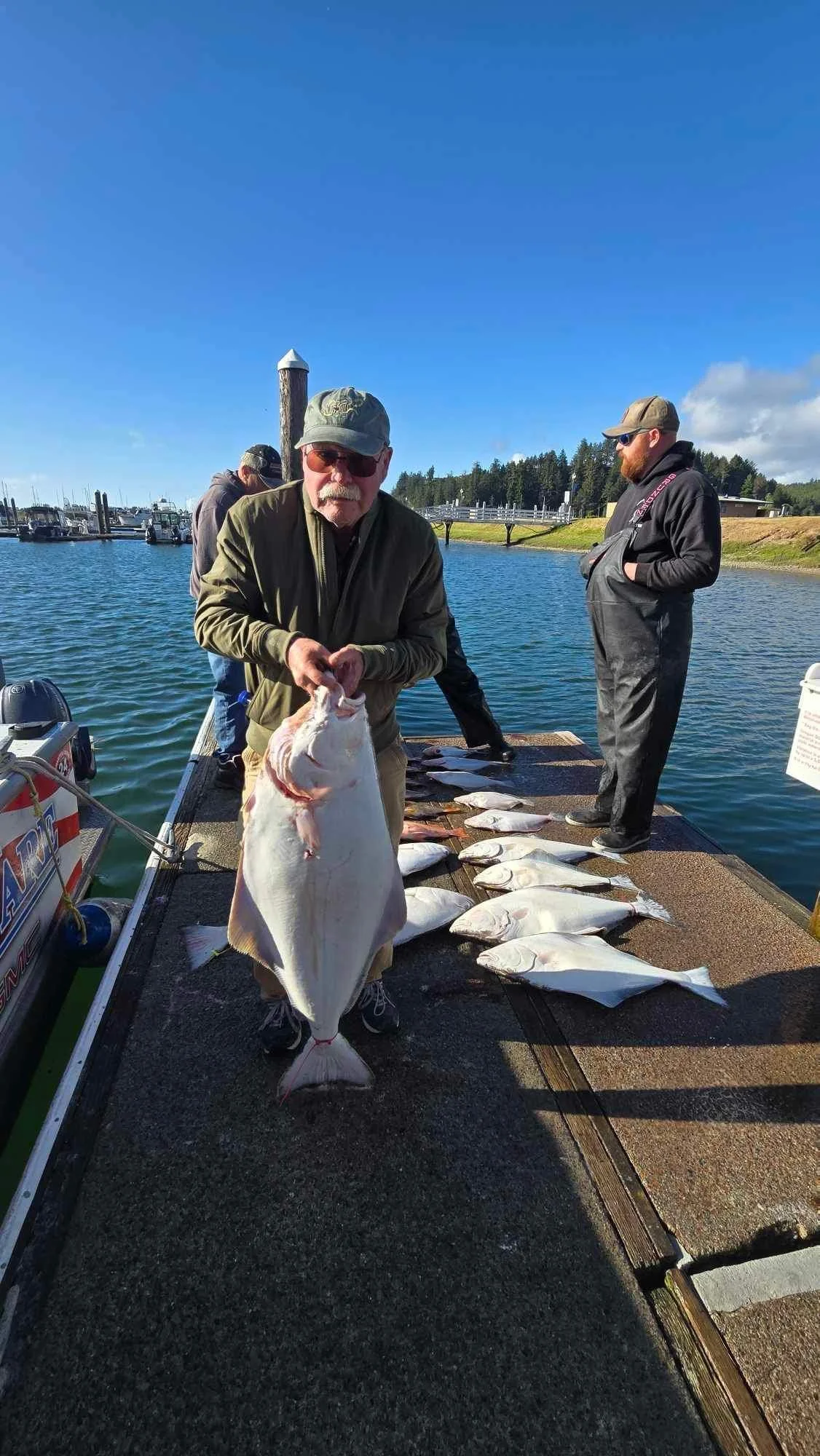 Man holding a large fish on a dock with smaller fish laid out behind him, at a marina on a sunny day.
