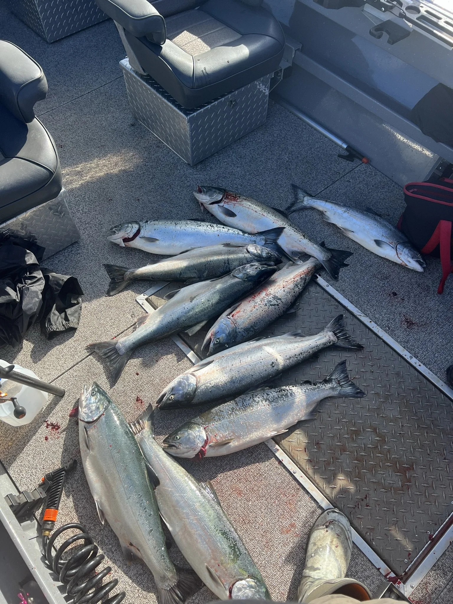 Best Fishing Guide, Salmon Guide, Steelhead Guide, Halibut Guide, Bottom Fish Guide, Rock Fish Guide, Crabbing Guide, Salmon Charter, Steelhead Charter, Halibut Charter, Bottom fish Charter, Rock Fish Charter, Crabbing Charter Tuna Guide Tuna Charter