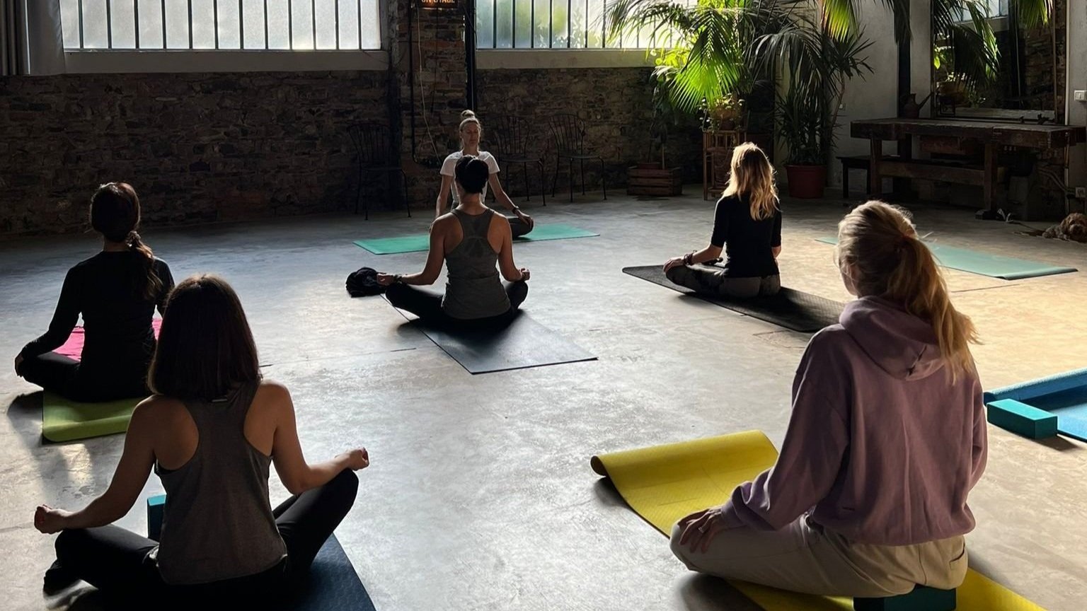 Christmas Special: Energising Vinyasa Yoga with Laura