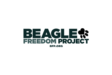BeagleFreedomProject.png
