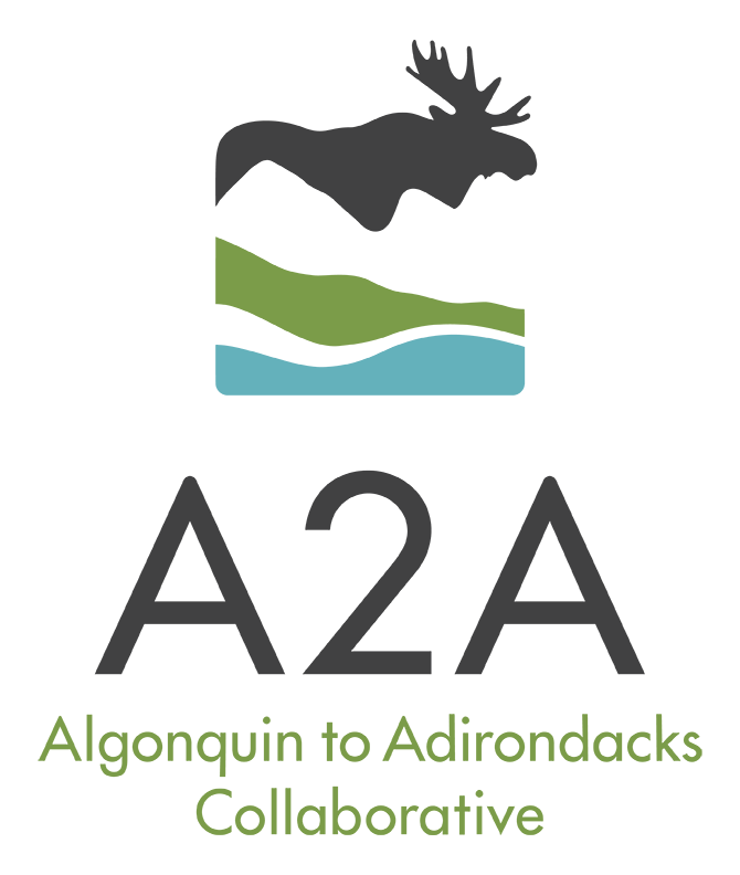 Algonquin to Adirondacks