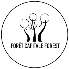 Forêt Capitale Forest