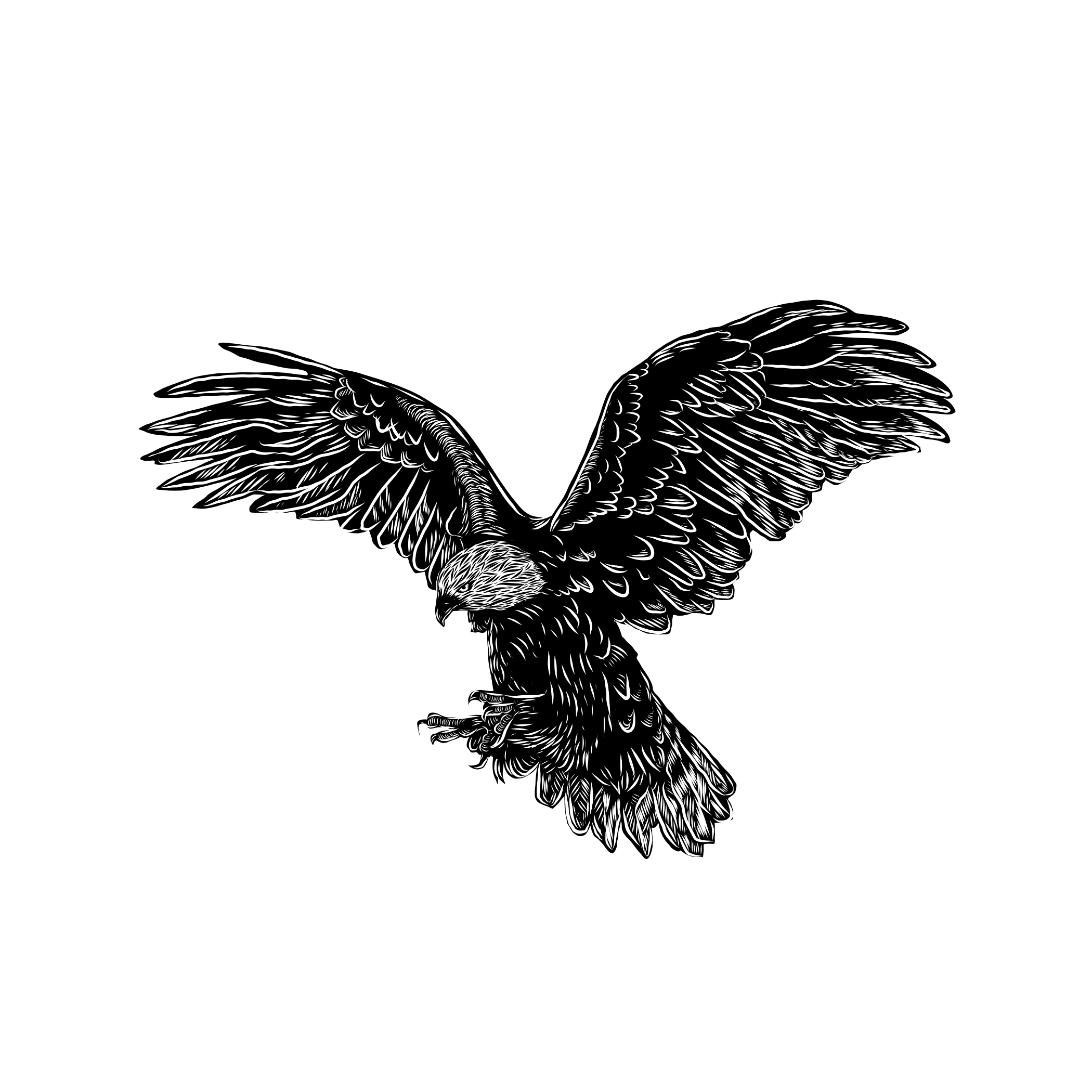 Black and white digital illustration of a bald eagle with wings spread wide.
