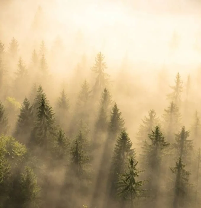Mountain Home Living: The Benefits of Living in the Mountains