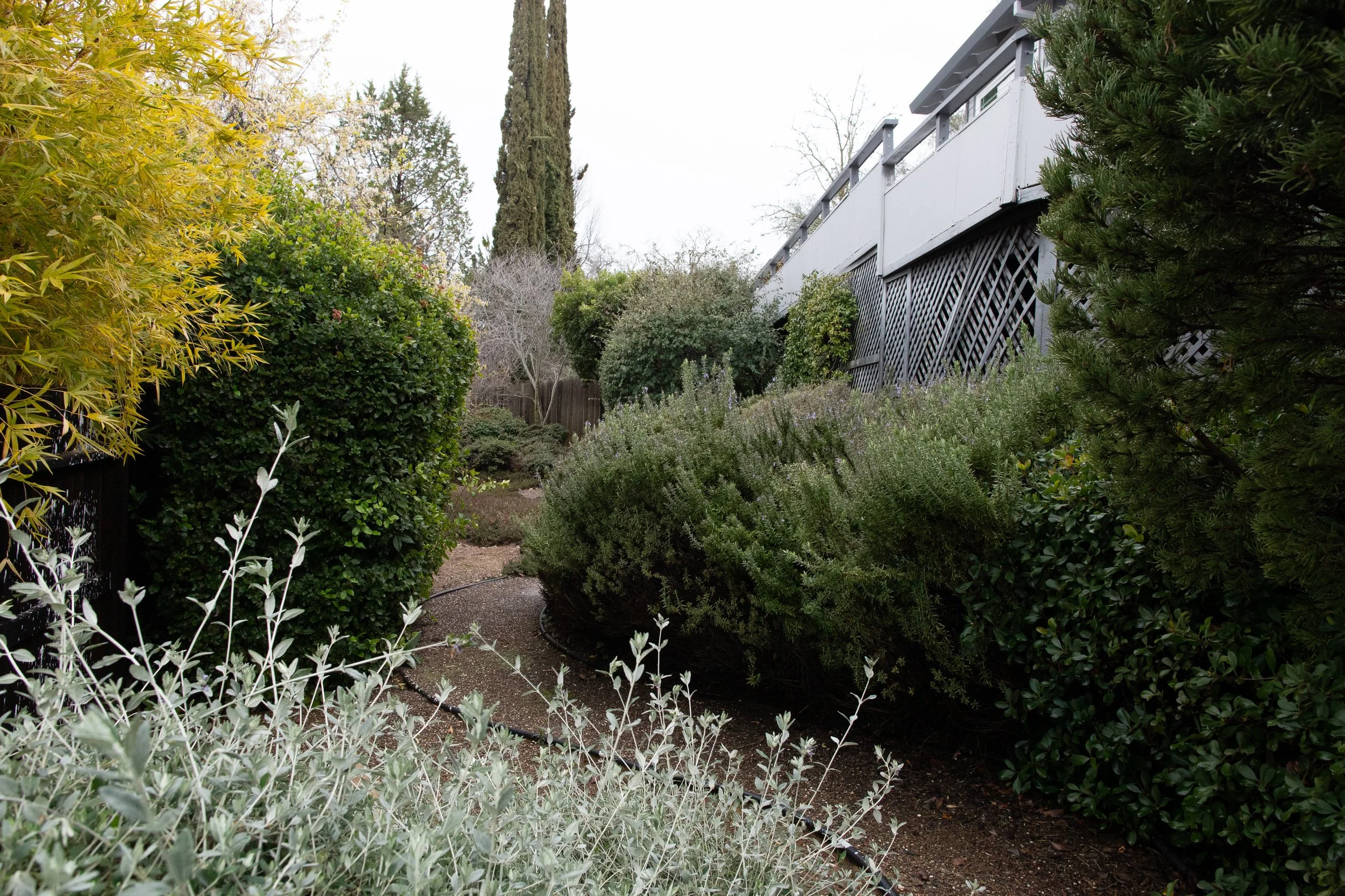 120 Patricia Lane, Sutter Creek, CA - Amador County(32).jpg