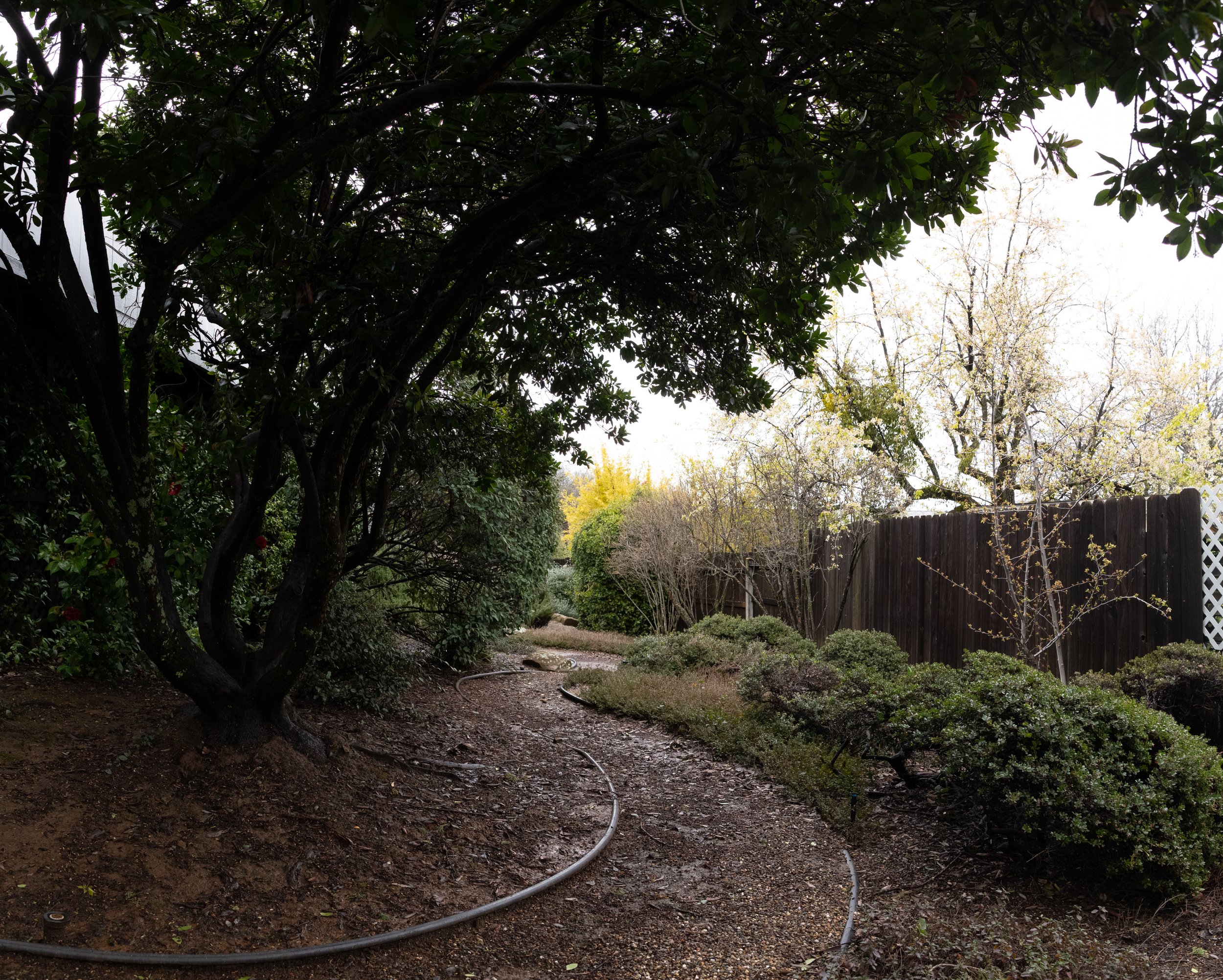120 Patricia Lane, Sutter Creek, CA - Amador County(33).jpg