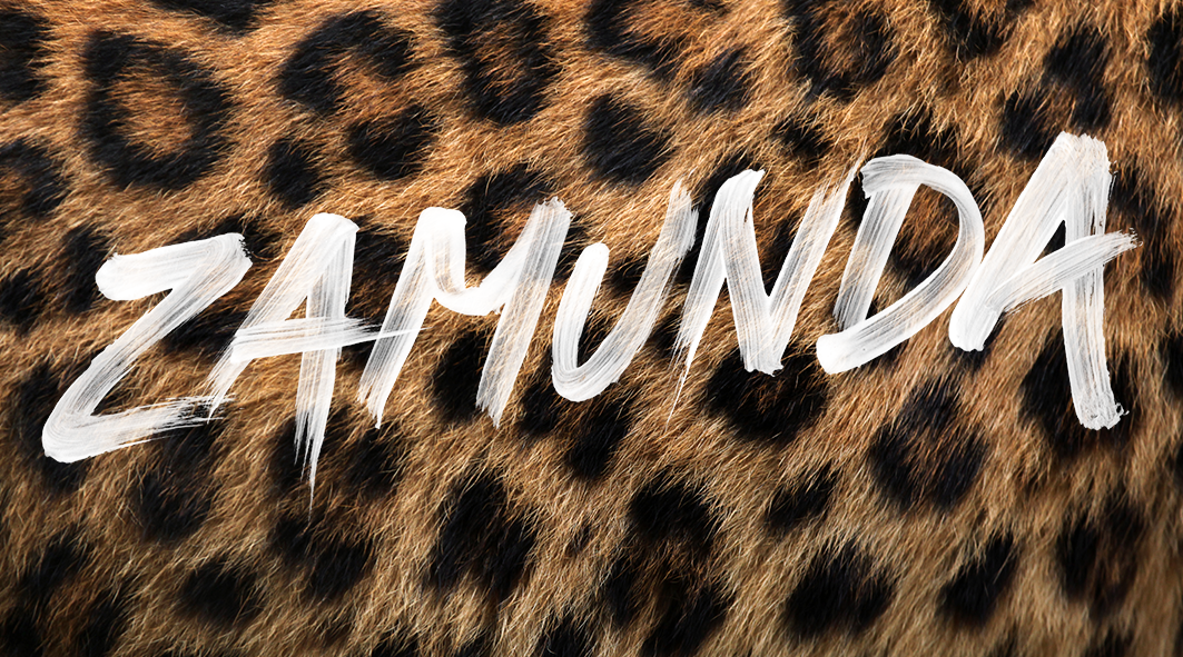 Zamunda Studio