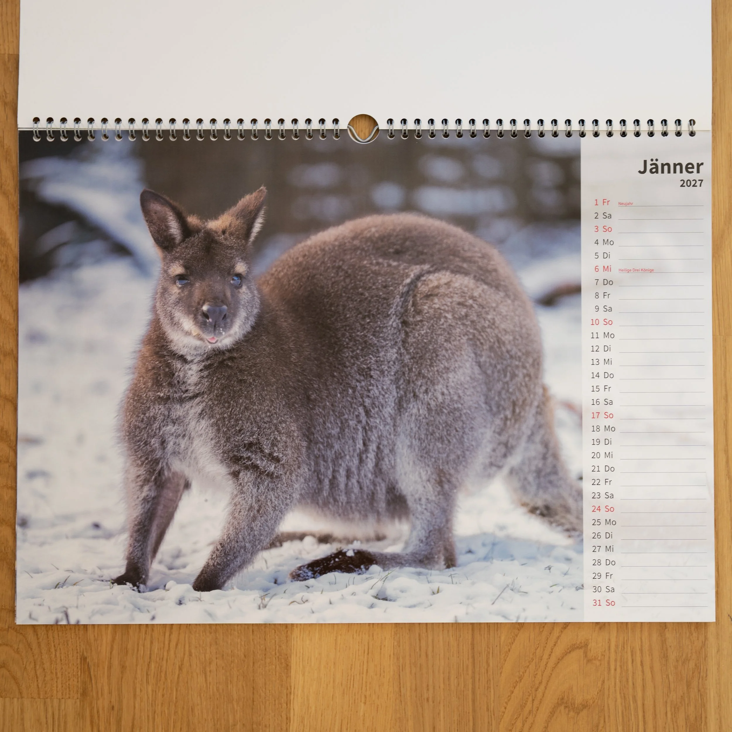 260926_JK-KangarooKalender_0002.jpg