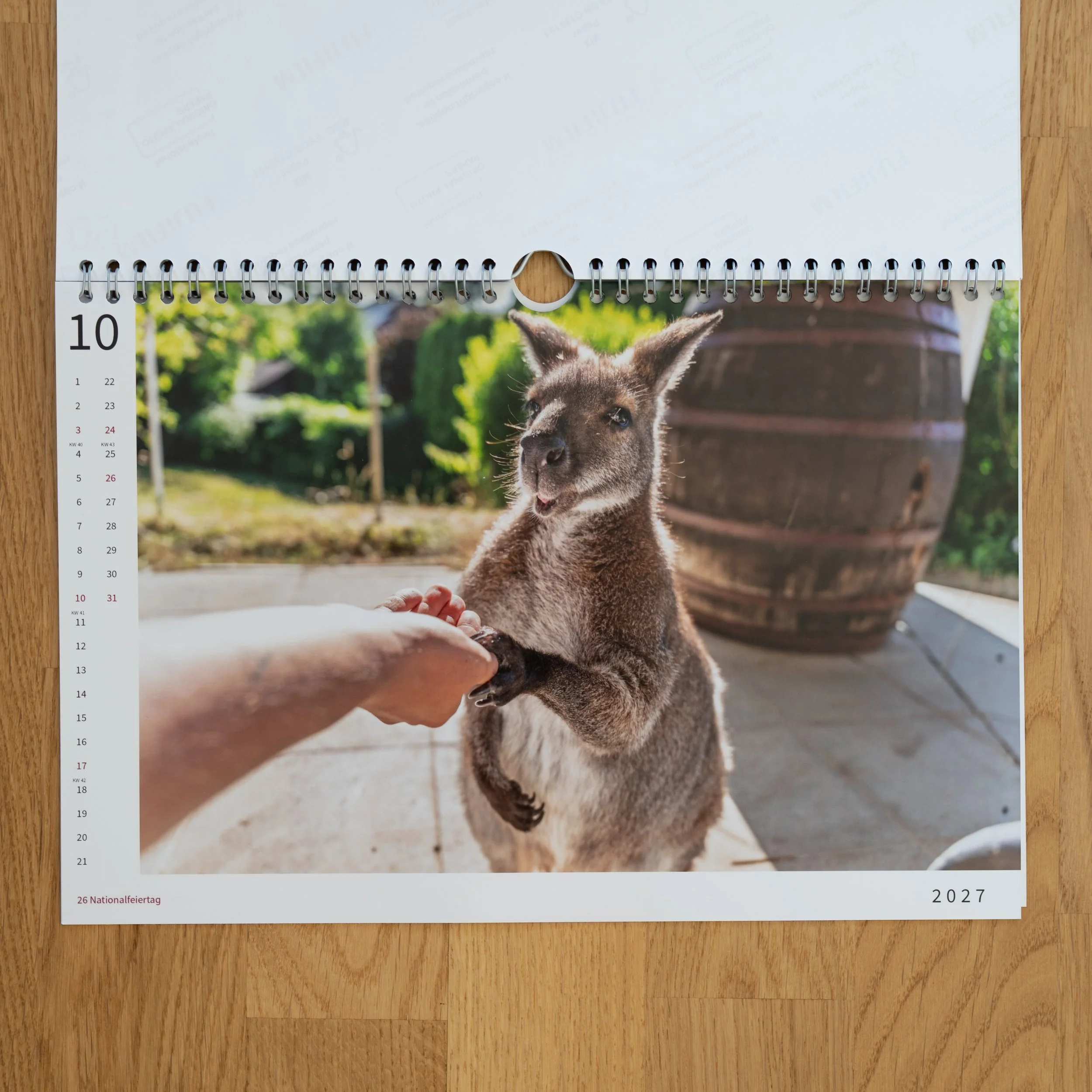 260926_JK-KangarooKalender_0015.jpg