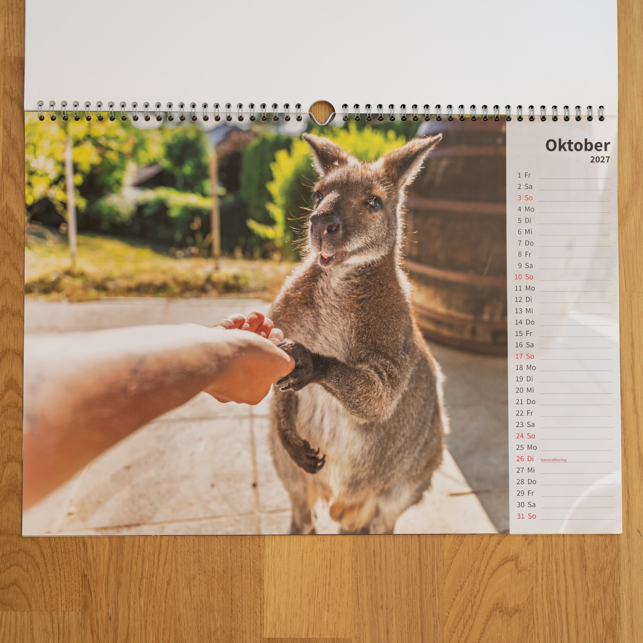 260926_JK-KangarooKalender_0007.jpg