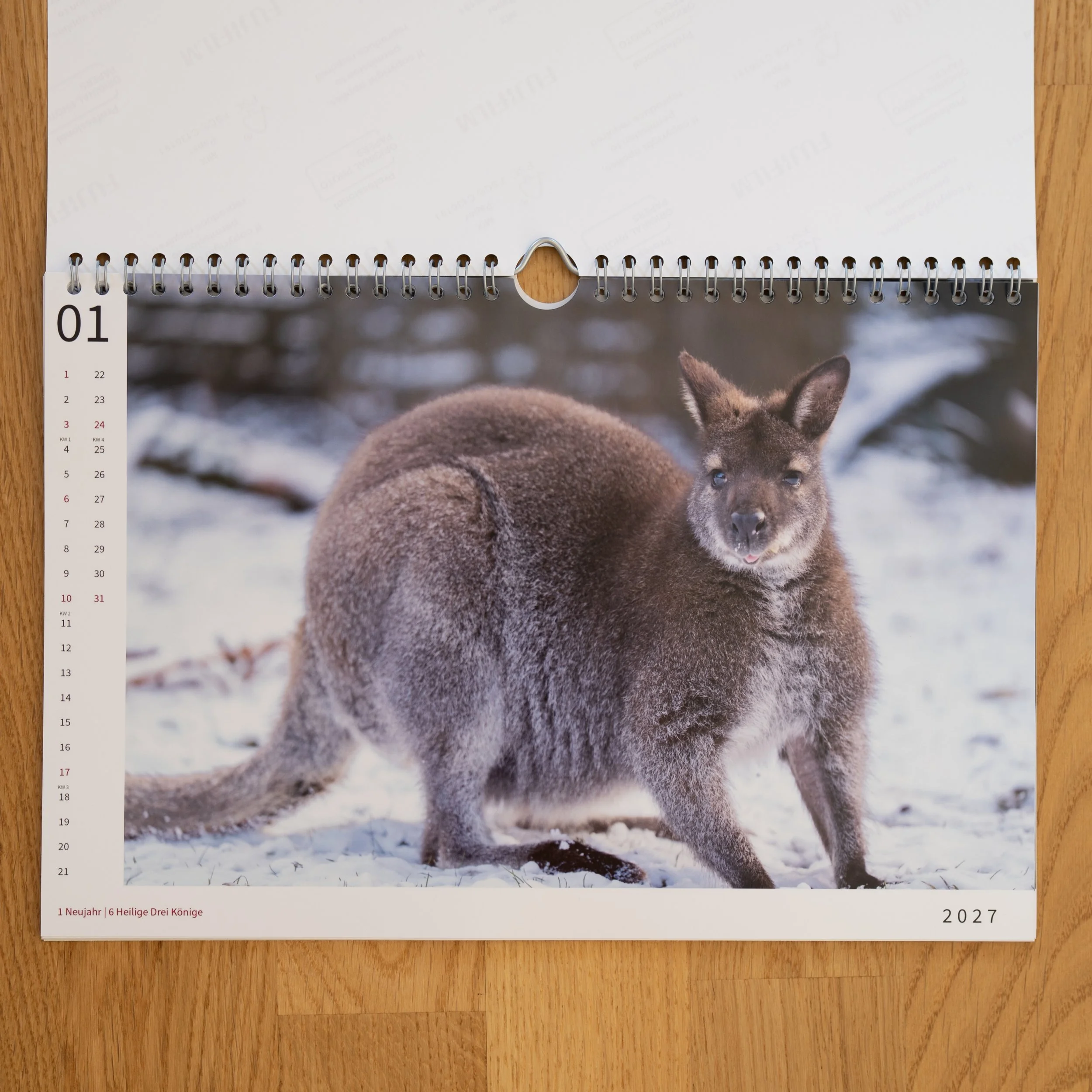 260926_JK-KangarooKalender_0010.jpg