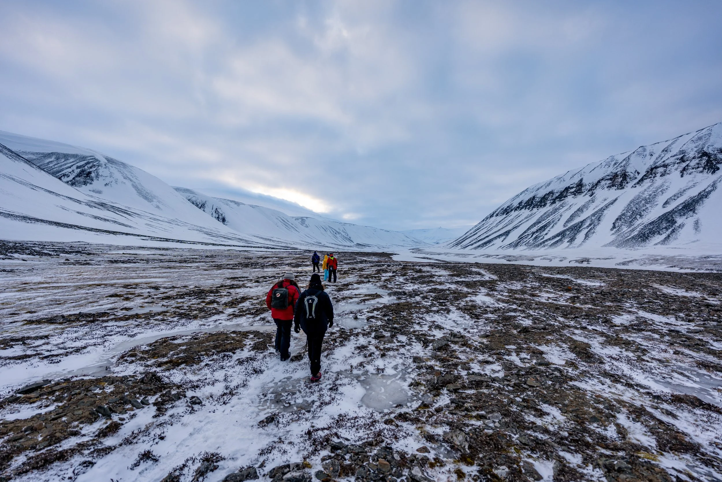 25-03-06_JK-Svalbard_0123.jpeg