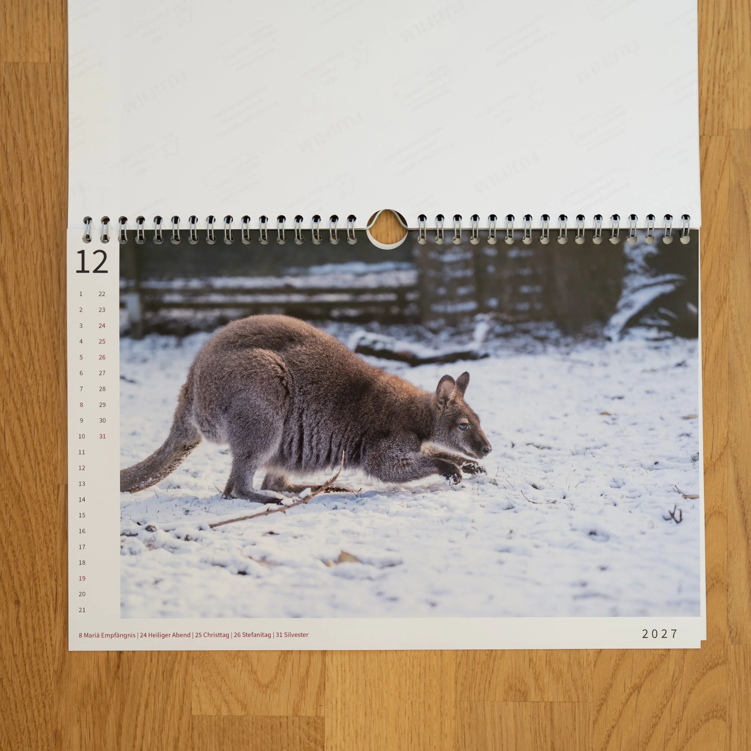 260926_JK-KangarooKalender_0016.jpg