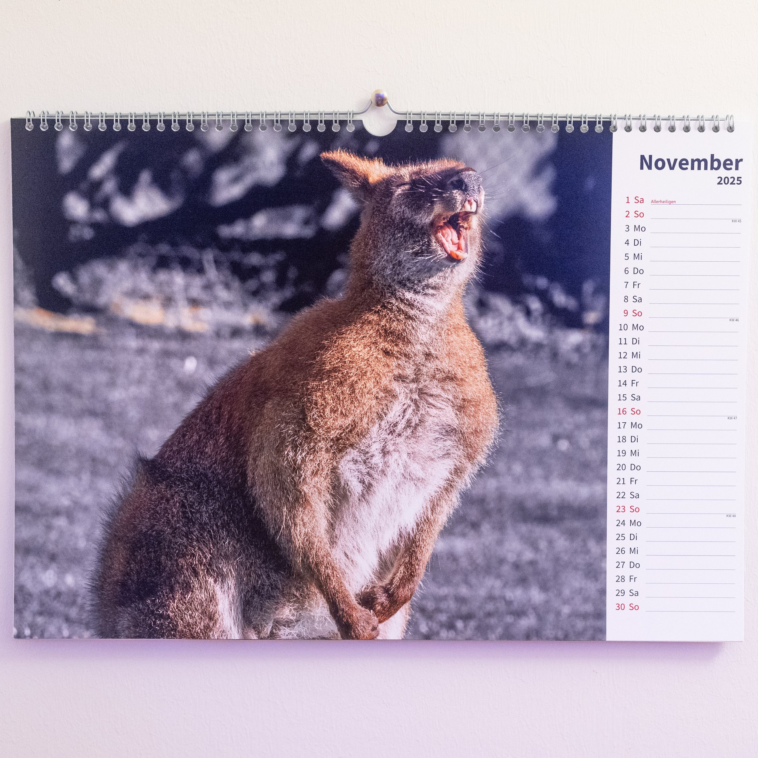 24-08-22_JK-kalender25-_0015.jpg