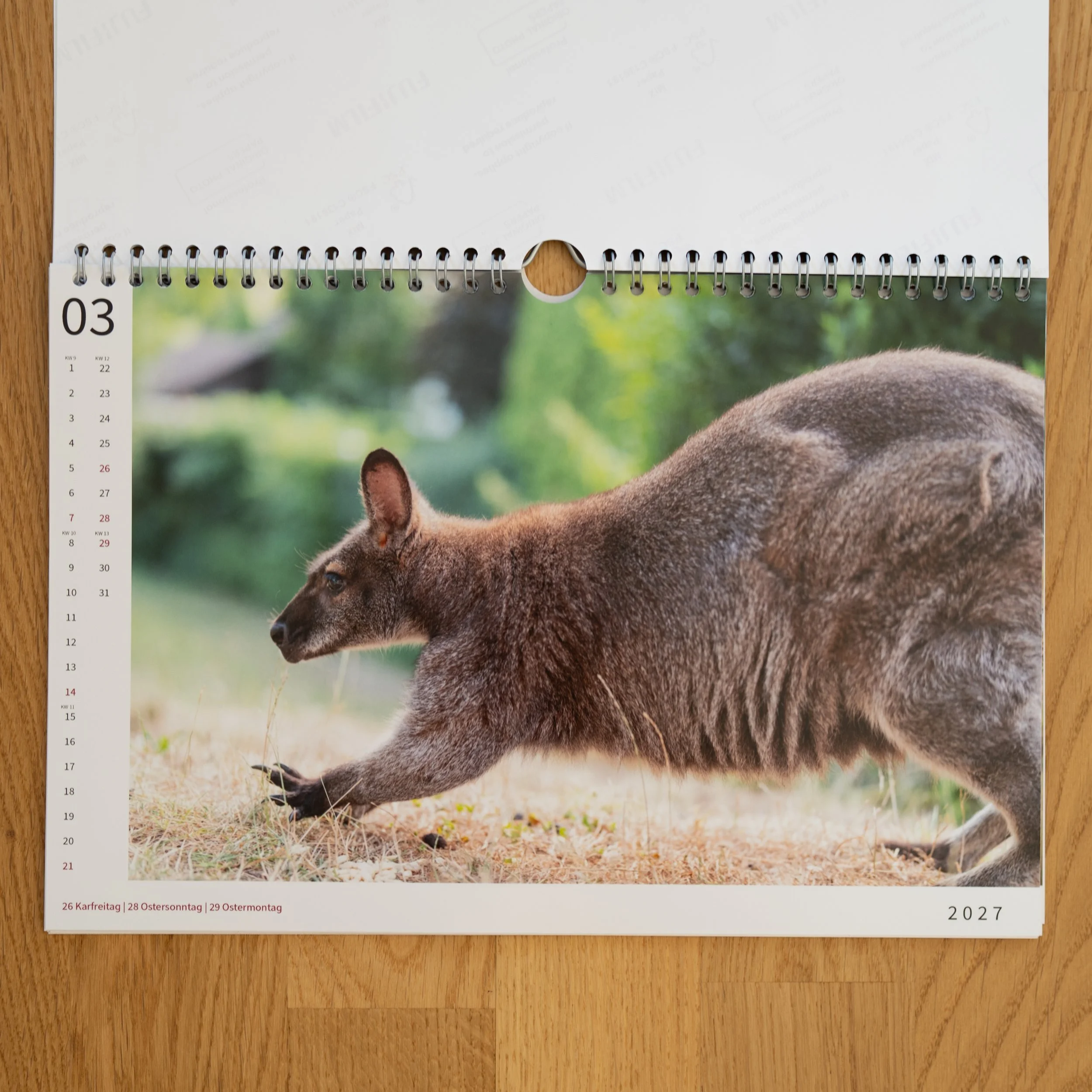 260926_JK-KangarooKalender_0011.jpg
