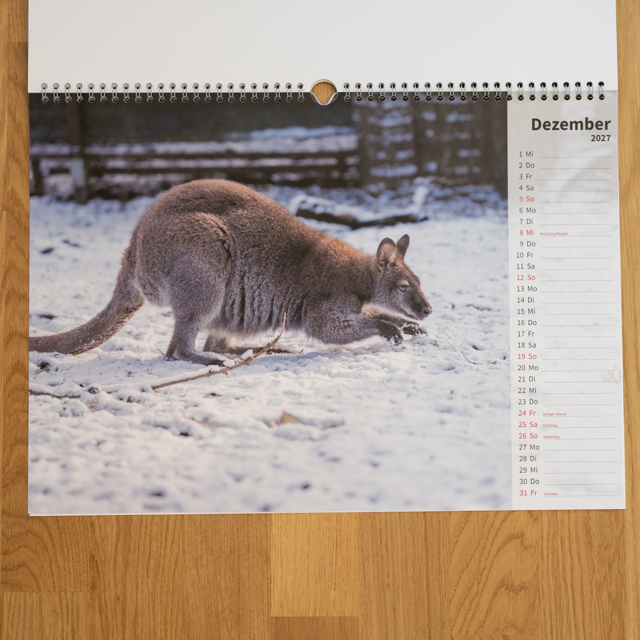 260926_JK-KangarooKalender_0008.jpg