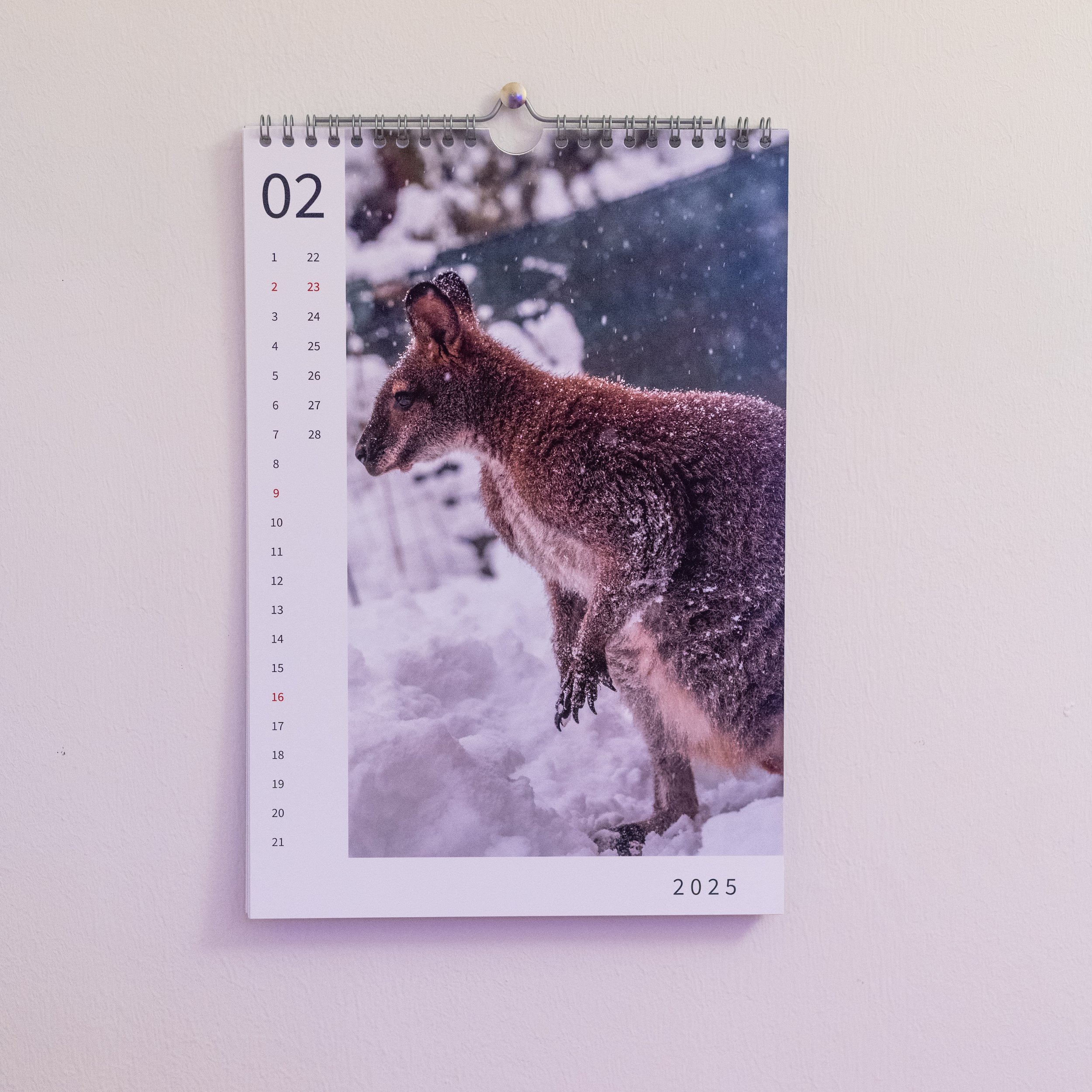 24-08-22_JK-kalender25-_0007.jpg