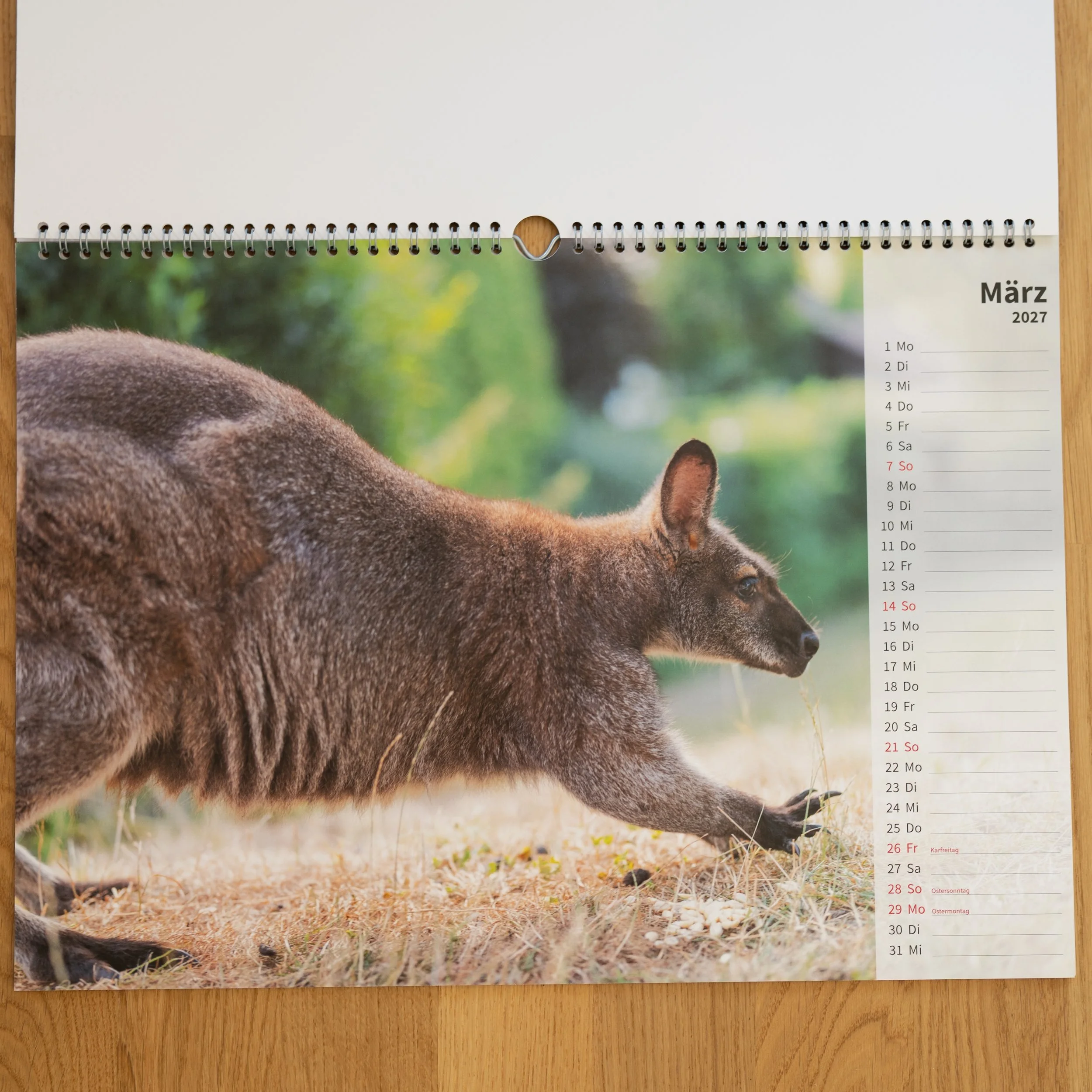 260926_JK-KangarooKalender_0004.jpg