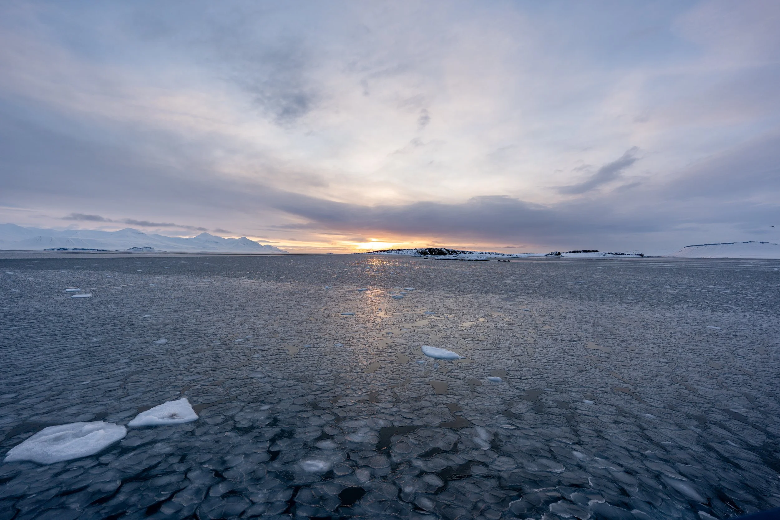 25-03-09_JK-Svalbard_0210.jpg