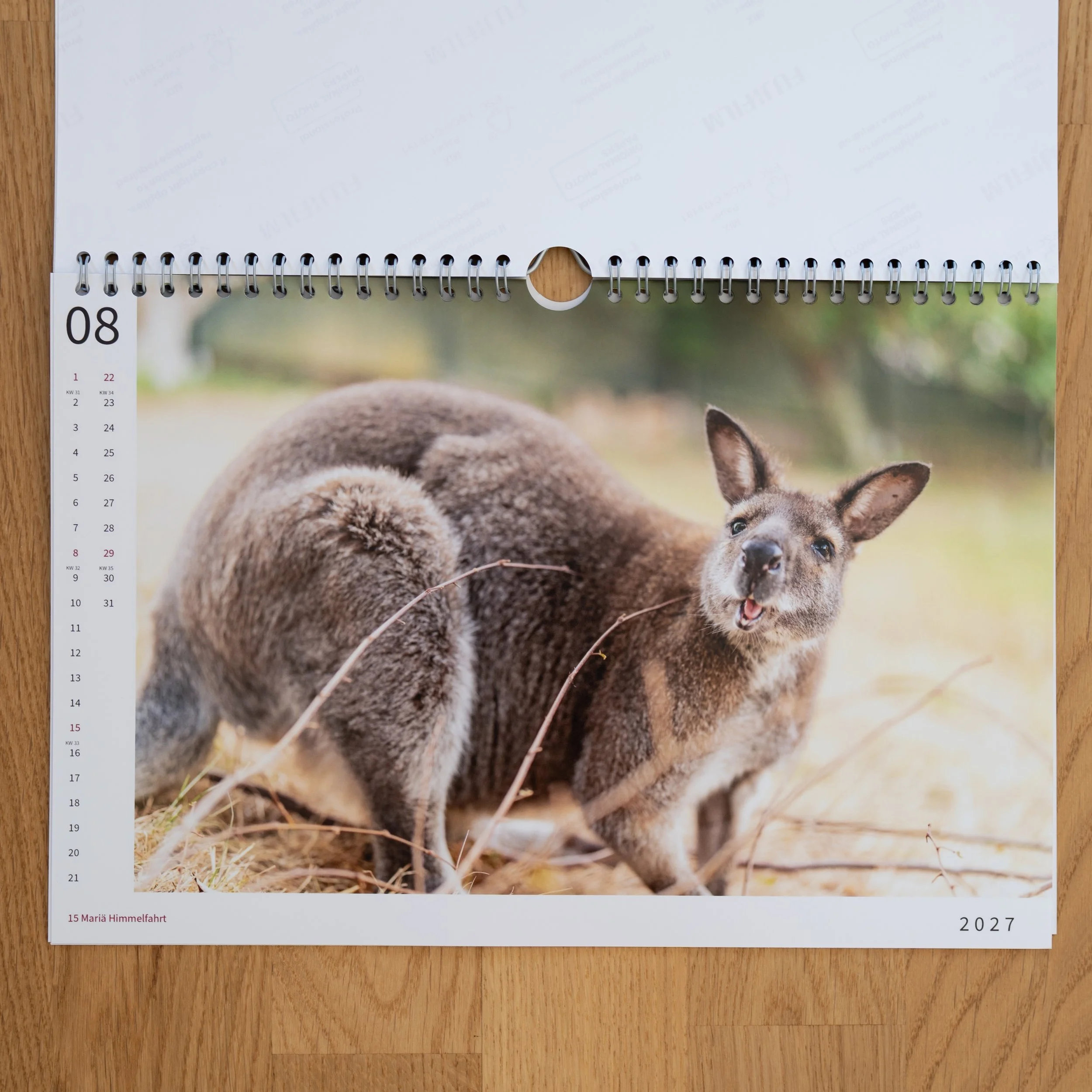 260926_JK-KangarooKalender_0014.jpg