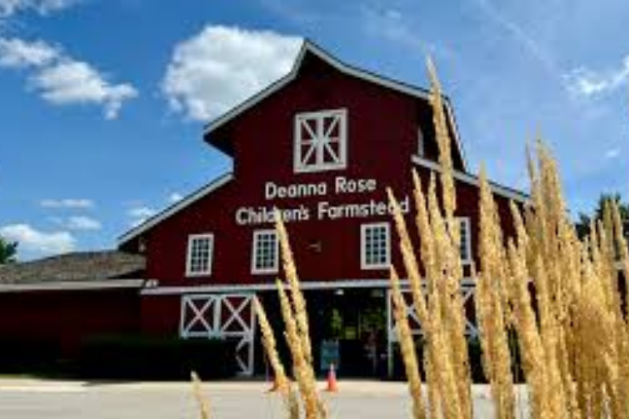 Guide to Kansas City's Best Family-Friendly Attractions — Cozy in KC ...