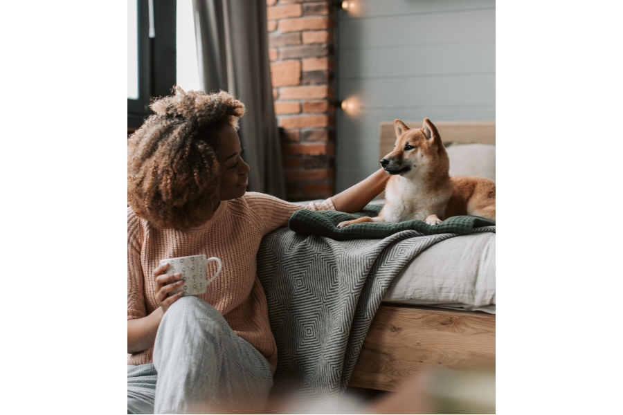 Pet-Friendly Vacation Rentals in Kansas City: Yard, Fee, and Neighborhood Checklist