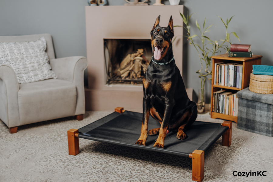 Pet friendly vacation rental