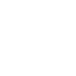 Strategic Positioning & Revenue Growth