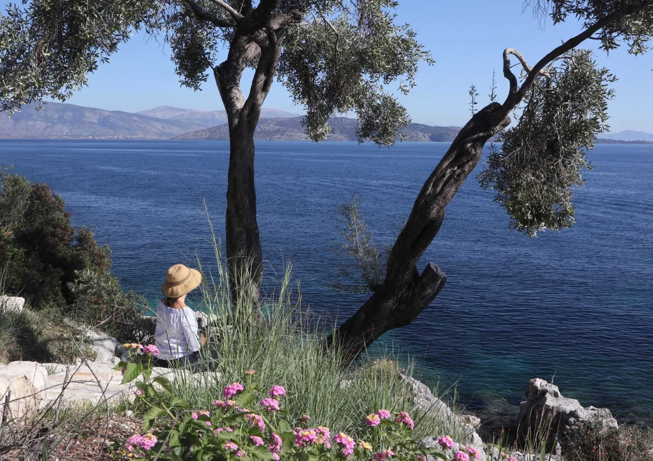 A person wearing a straw hat and white shirt sitting on rocks near a lake, surrounded by green plants and pink flowers, with mountains in the background under a clear blue sky.