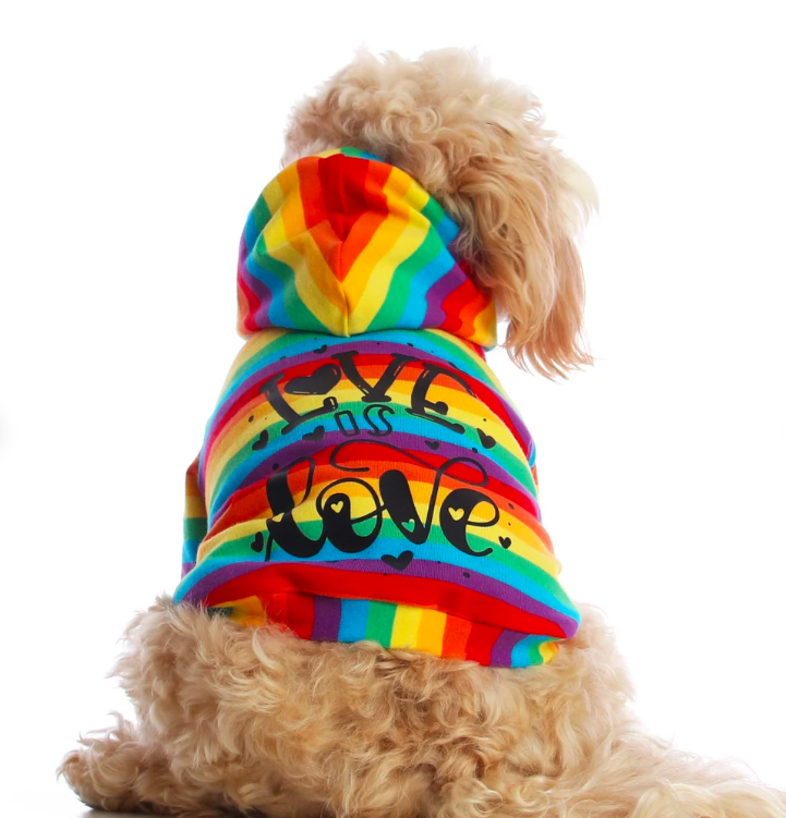 Love Is Love Dog Hoodie