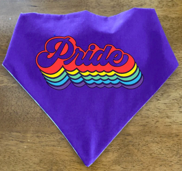  LGBTQ+ PRIDE Dog Bandana, Dog/Cat Accessories, Elastic Collar, Made to Order 