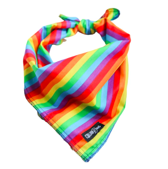  Pride LGBTQ Dog Bandana Small Medium Large Traditional Knot Tie 