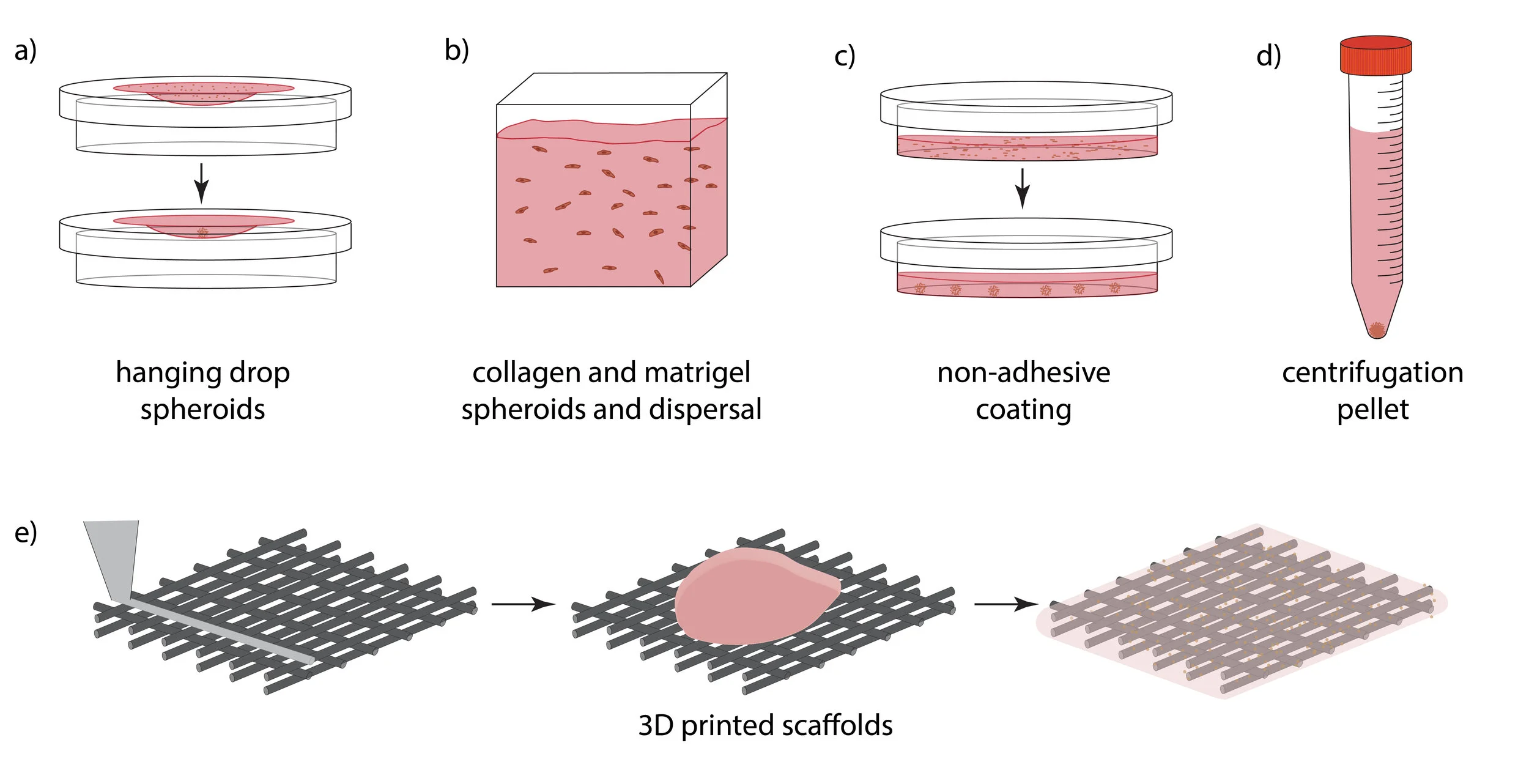 3D Culture Methods - designed with illustrator [reproduced from Marshall SL dissertation]