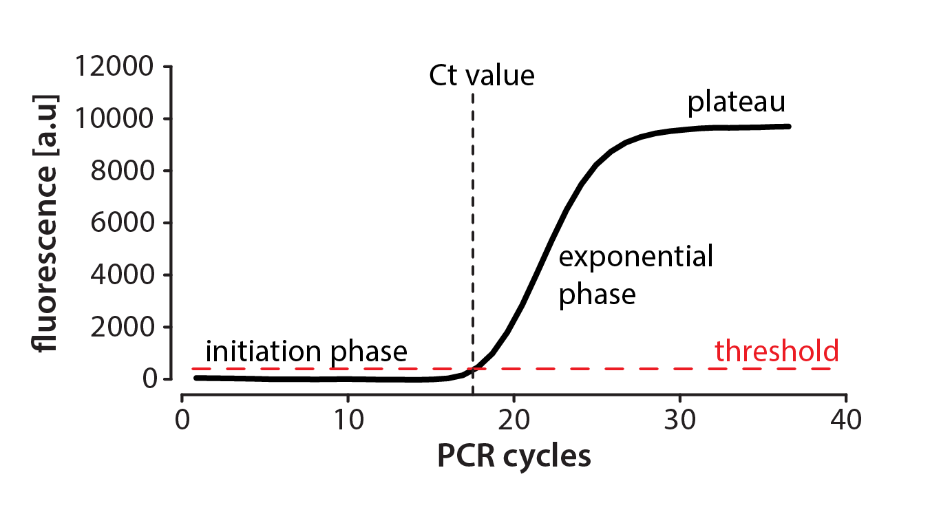 PCR schematic - designed with illustrator [reproduced from Marshall SL dissertation]