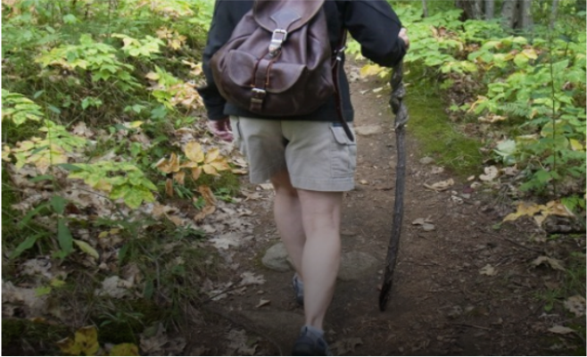 hiker.png