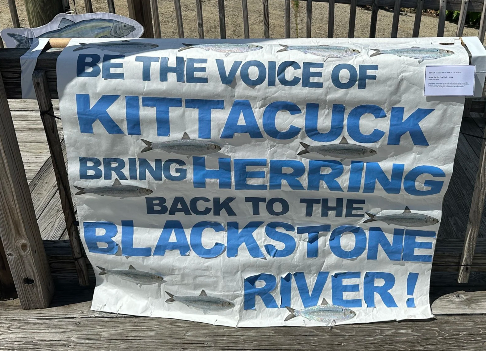 Bring the Herring Back - 2024