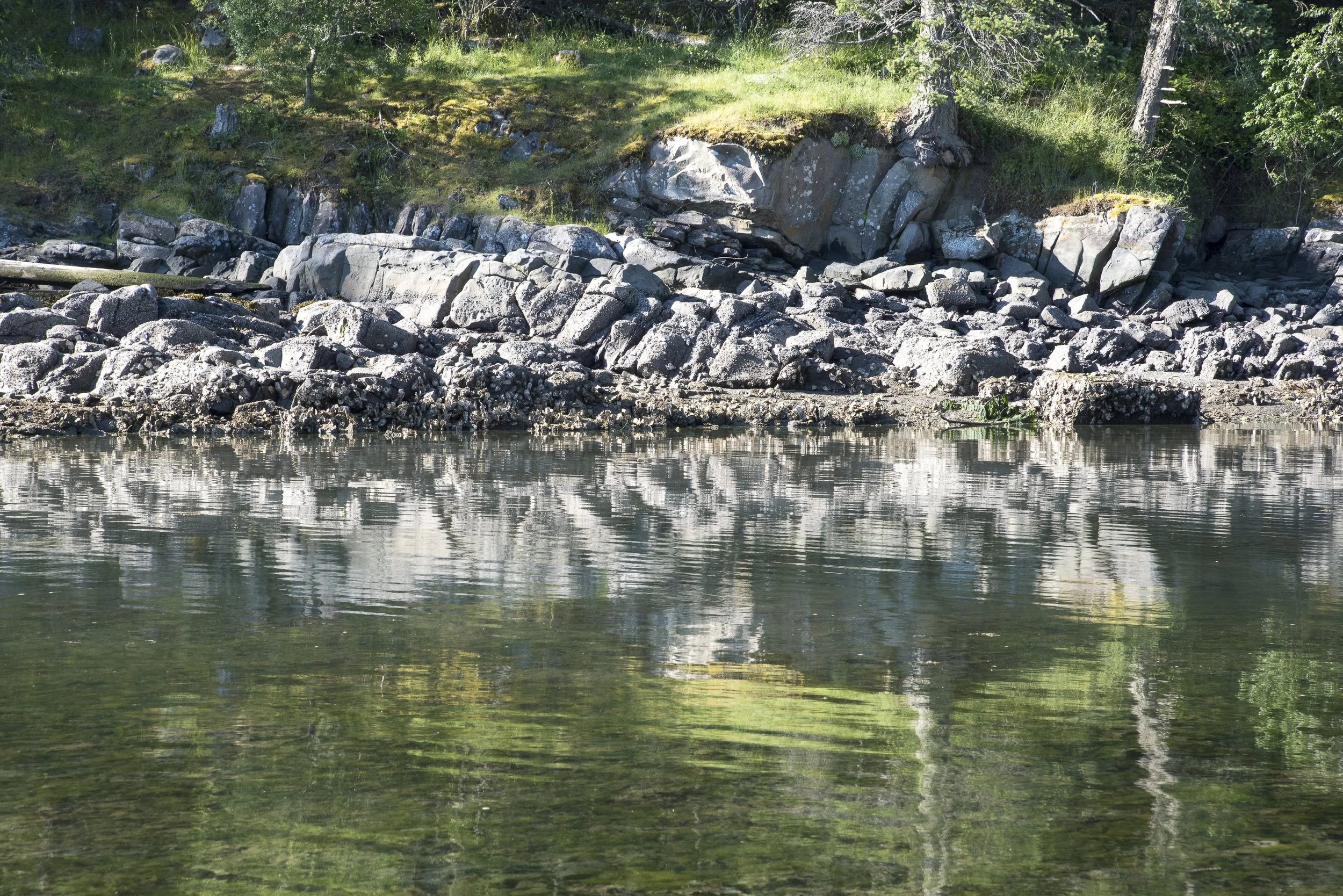 BeWildly HopeBay ReflectionSlope BEST Screen (1 of 1).jpg